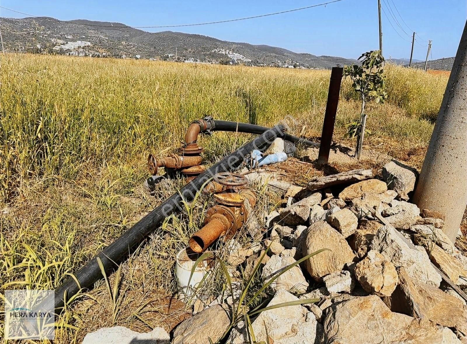 Milas Dörttepe Satılık Tarla HERA KARYA GAYRİMENKUL'DEN DÖRTTEPE'DE SATILIK 18 DÖNÜM TARLA