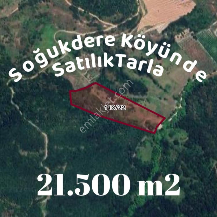 İnegöl Soğukdere Satılık Tarla İnegöl Soğukdere Köyünde Satılık Tarla