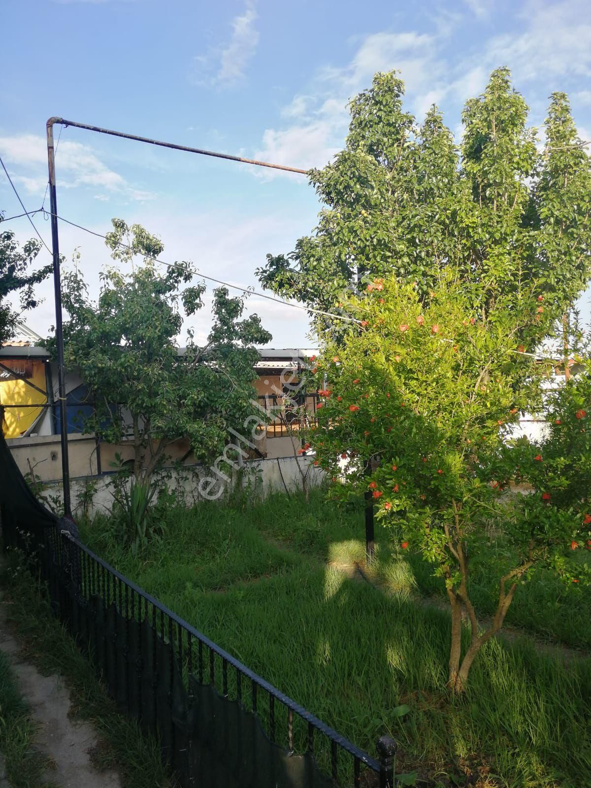Uzunköprü Muhacırkadı Köyü Satılık Çiftlik Evi SATILIK ÇİFTLİK  VE VİLLA 