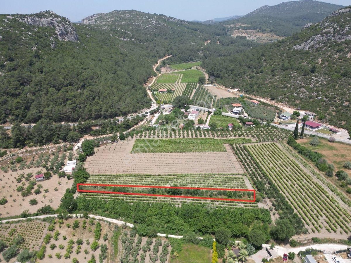 Kuşadası Kirazlı Satılık Bağ & Bahçe Kirazlı Köyünde İçinde Zeytin Ve Meyve Ağaçlarının Olduğu Yatırımlık Tarla