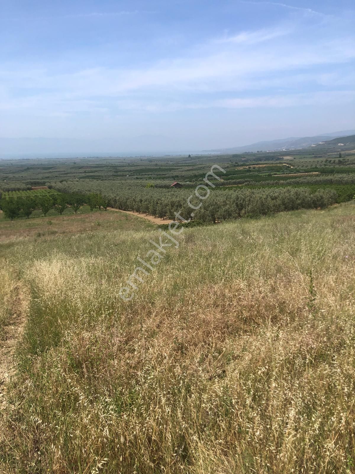 İznik Ömerli Satılık Tarla İznik Ömerli Göl Manzaralı Acil!!!!!