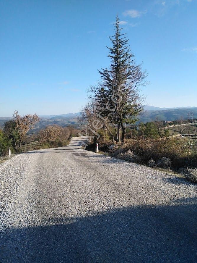 Dursunbey Gökçedağ Satılık Tarla  Balıkesir Dursunbey Gökçedağ da Satılık tarla