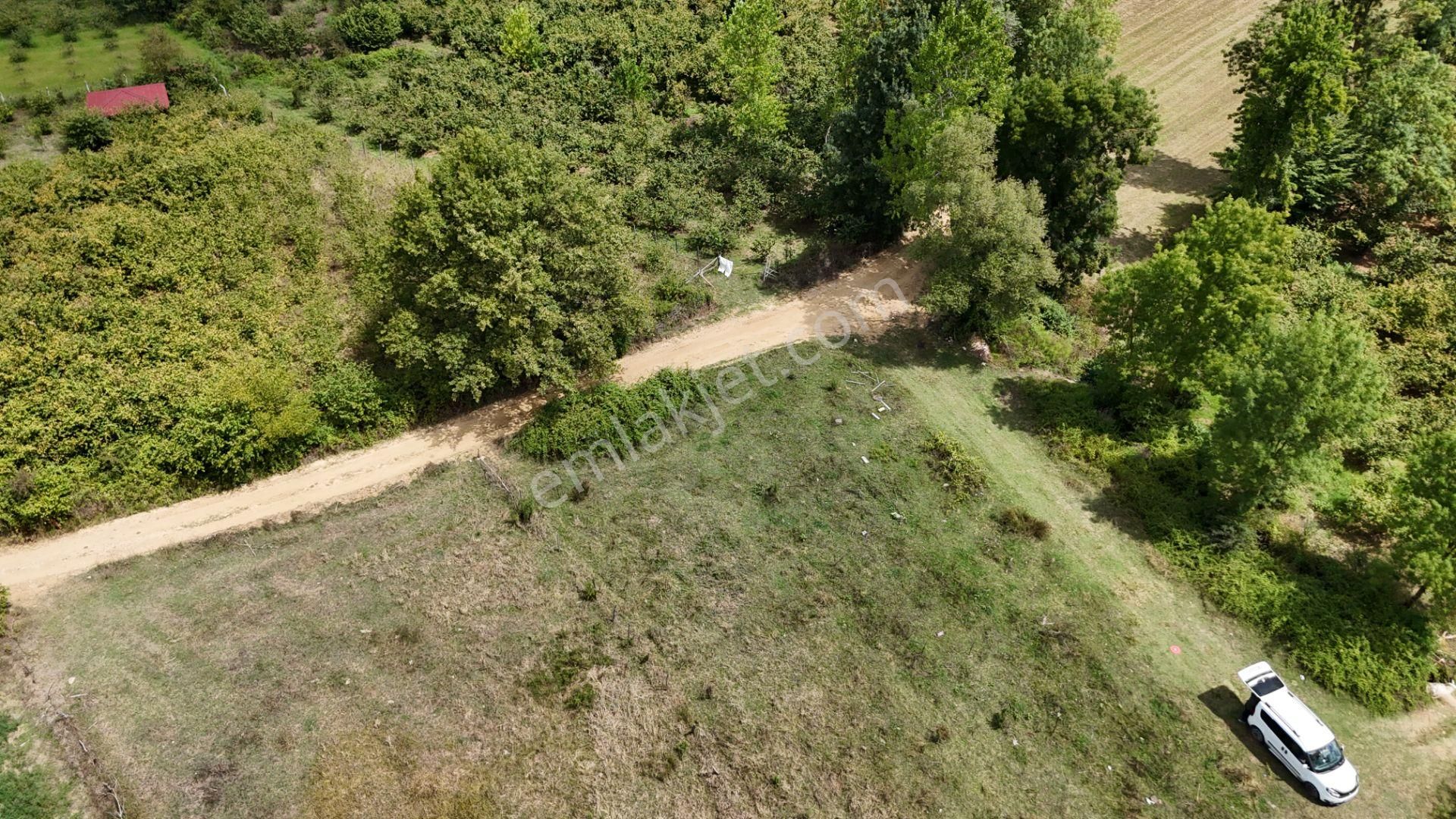 Kandıra Duraçali De 971 M2 Topluulaştırmada Satılık Tarla - Görsel 10
