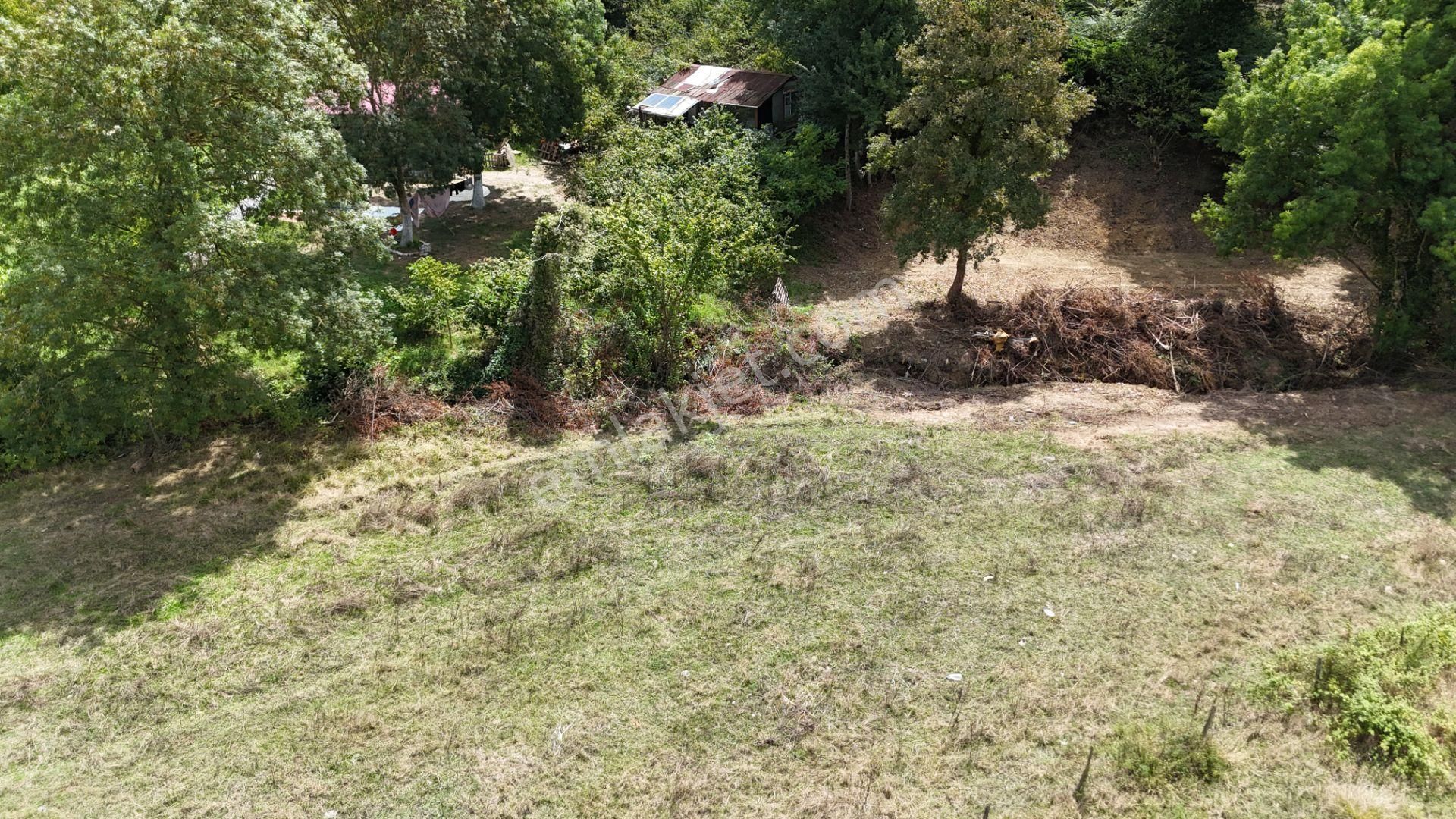 Kandıra Duraçali De 971 M2 Topluulaştırmada Satılık Tarla - Görsel 7