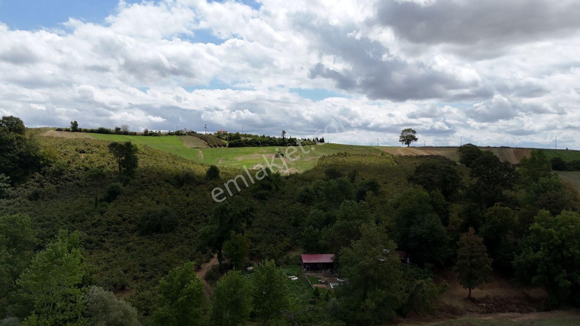 Kandıra Duraçali De 971 M2 Topluulaştırmada Satılık Tarla - Görsel 16