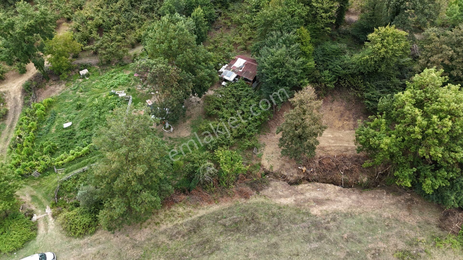 Kandıra Duraçali De 971 M2 Topluulaştırmada Satılık Tarla - Görsel 17