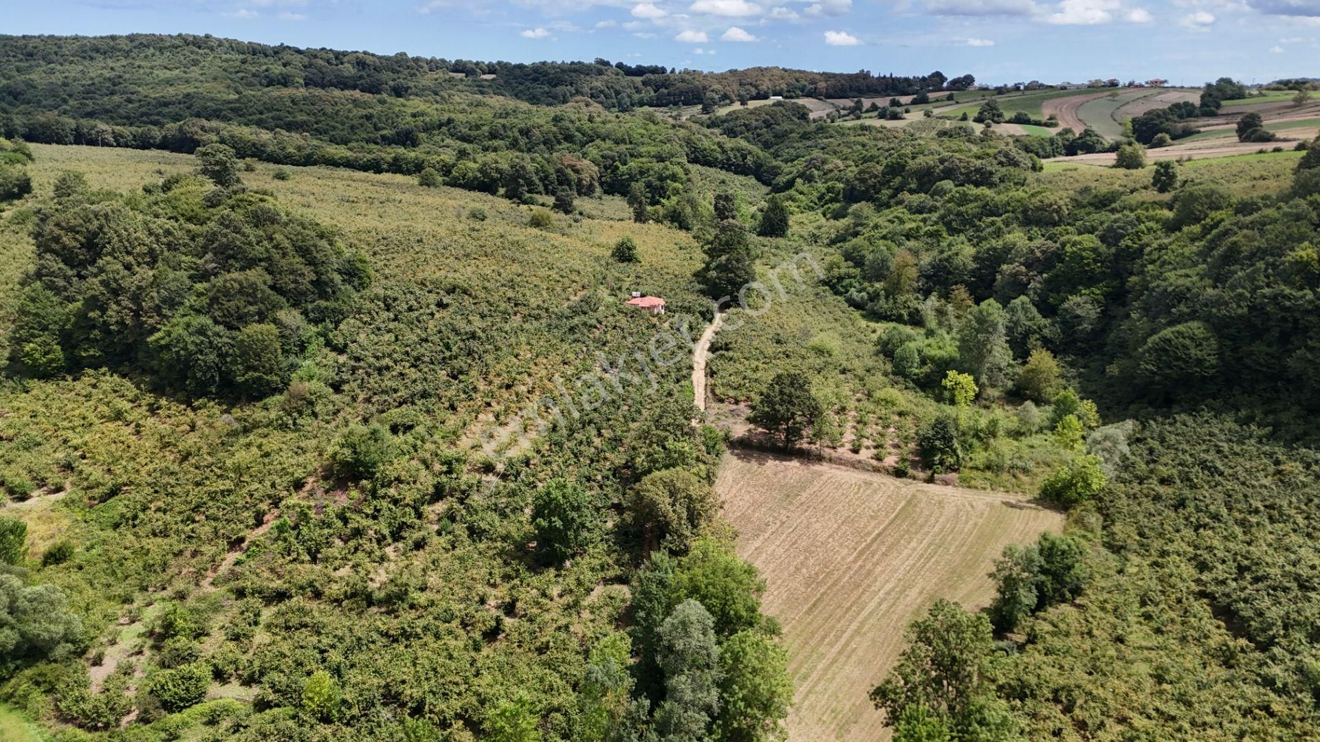 Kandıra Duraçali De 971 M2 Topluulaştırmada Satılık Tarla - Görsel 25