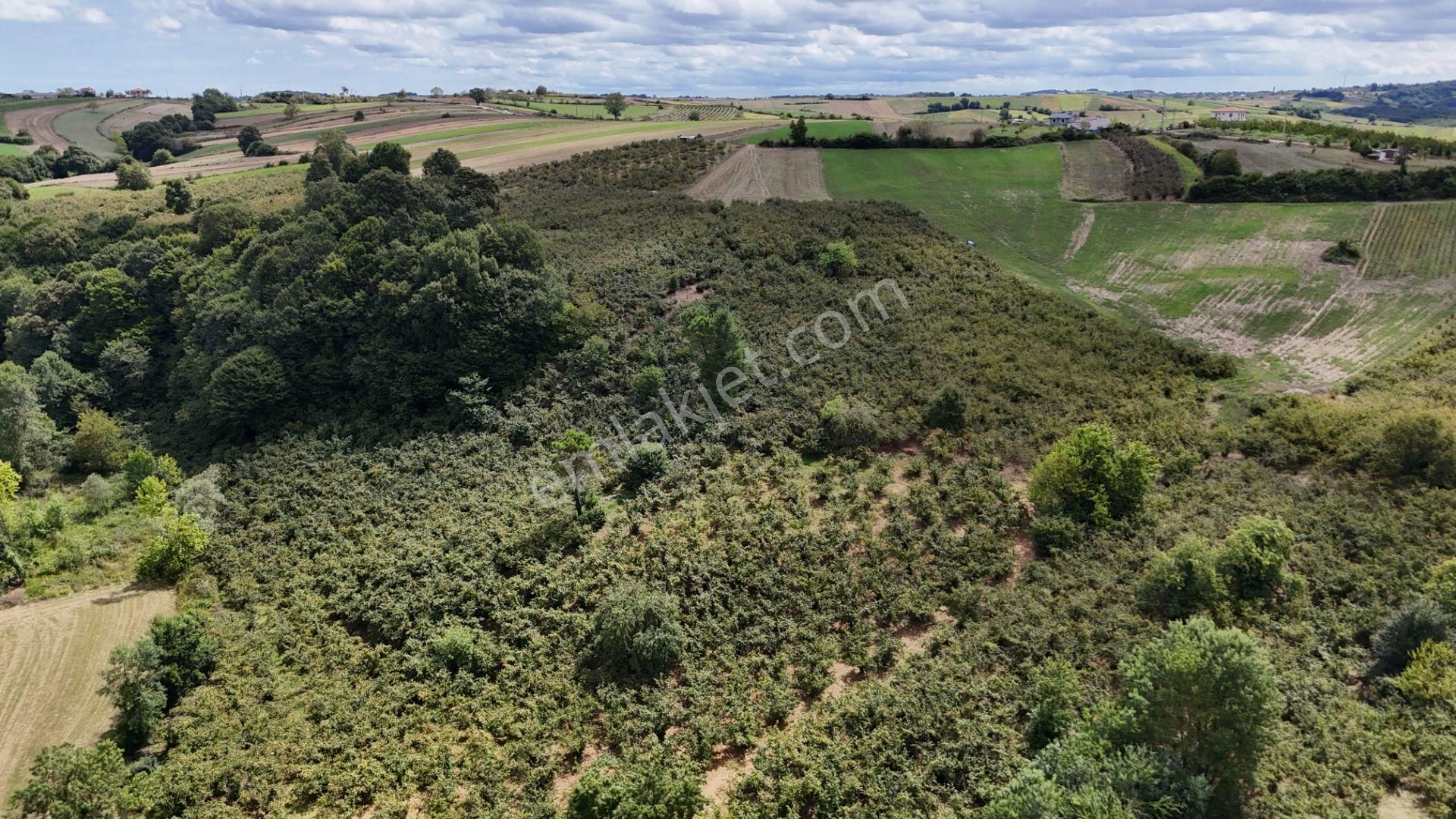 Kandıra Duraçali De 971 M2 Topluulaştırmada Satılık Tarla - Görsel 2
