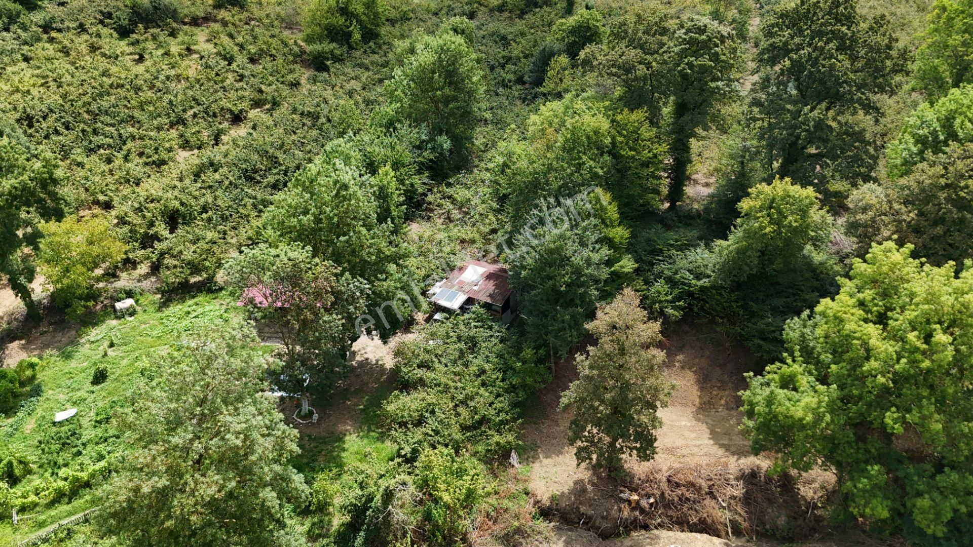 Kandıra Duraçali De 971 M2 Topluulaştırmada Satılık Tarla - Görsel 26