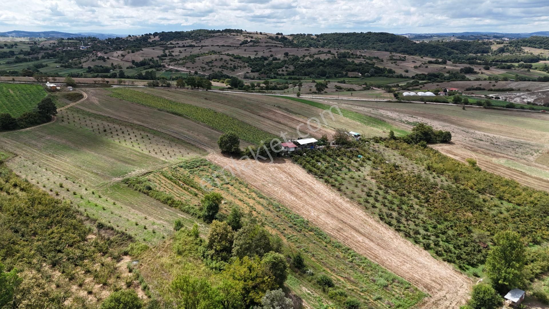 Kandıra Duraçali De 971 M2 Topluulaştırmada Satılık Tarla - Görsel 22