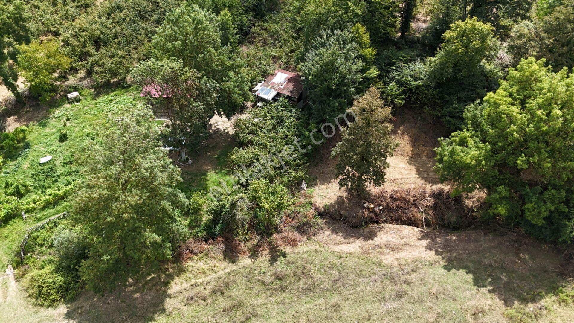 Kandıra Duraçali De 971 M2 Topluulaştırmada Satılık Tarla - Görsel 8