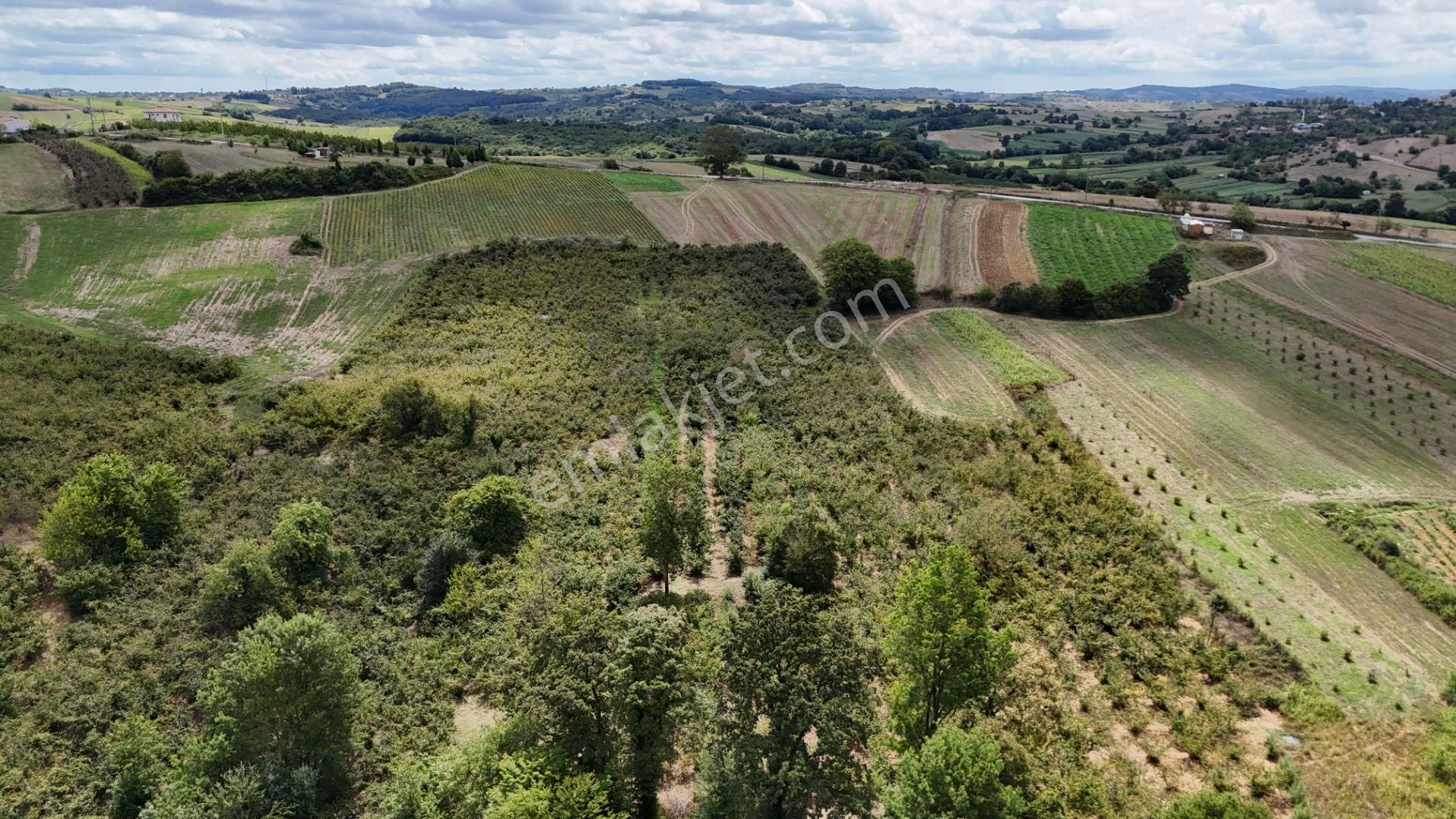 Kandıra Duraçali De 971 M2 Topluulaştırmada Satılık Tarla - Görsel 23