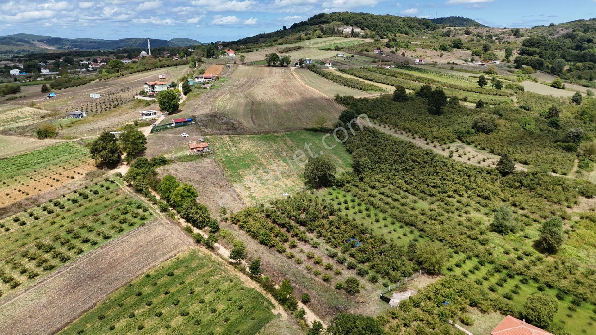 Kandıra Duraçali De 971 M2 Topluulaştırmada Satılık Tarla - Görsel 19