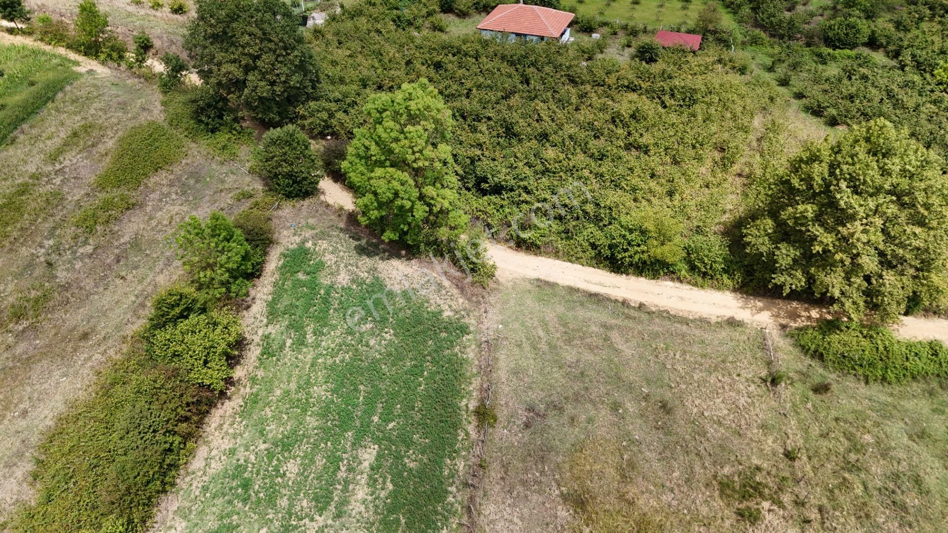 Kandıra Duraçali De 971 M2 Topluulaştırmada Satılık Tarla - Görsel 11