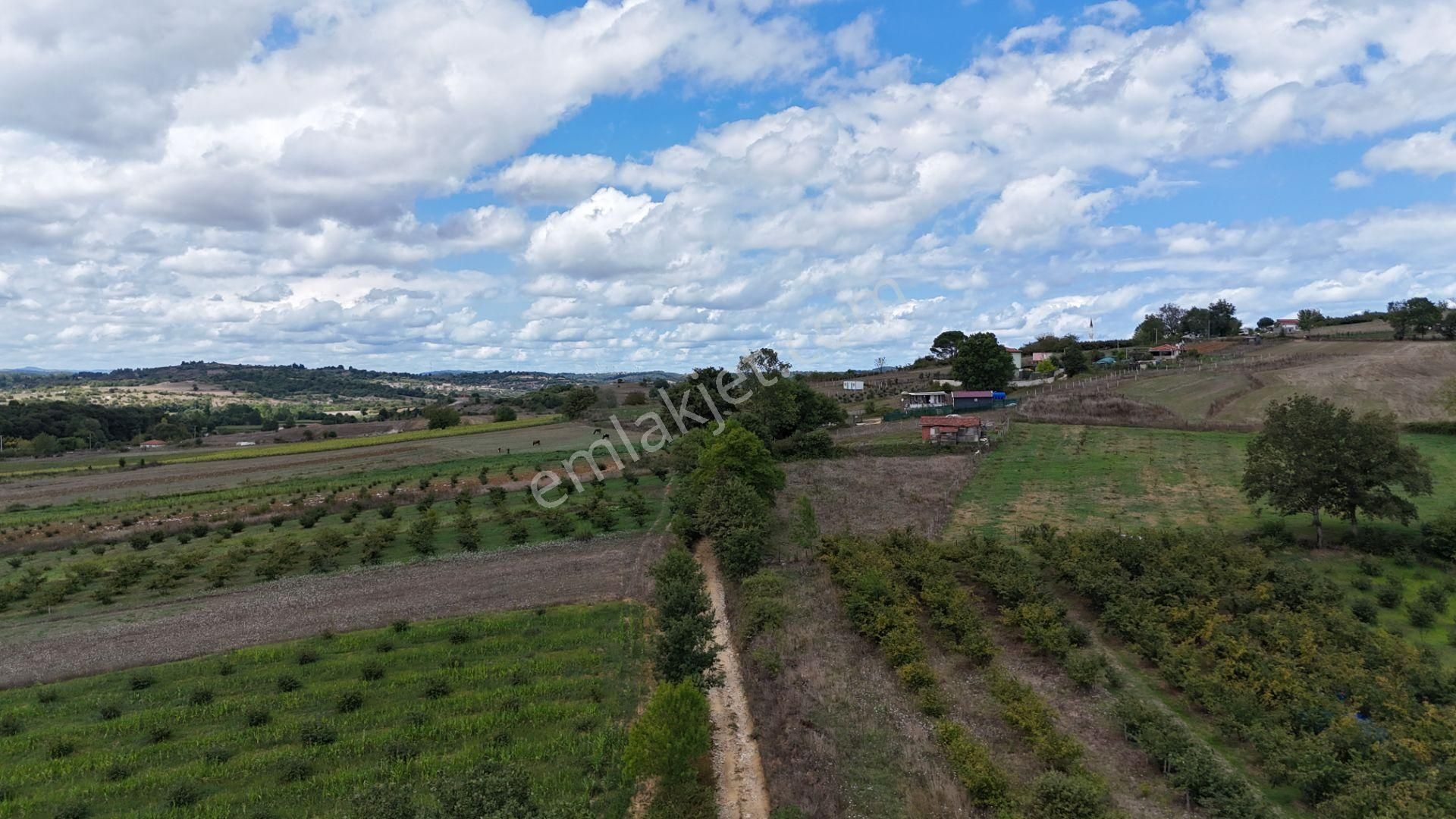 Kandıra Duraçali De 971 M2 Topluulaştırmada Satılık Tarla - Görsel 12