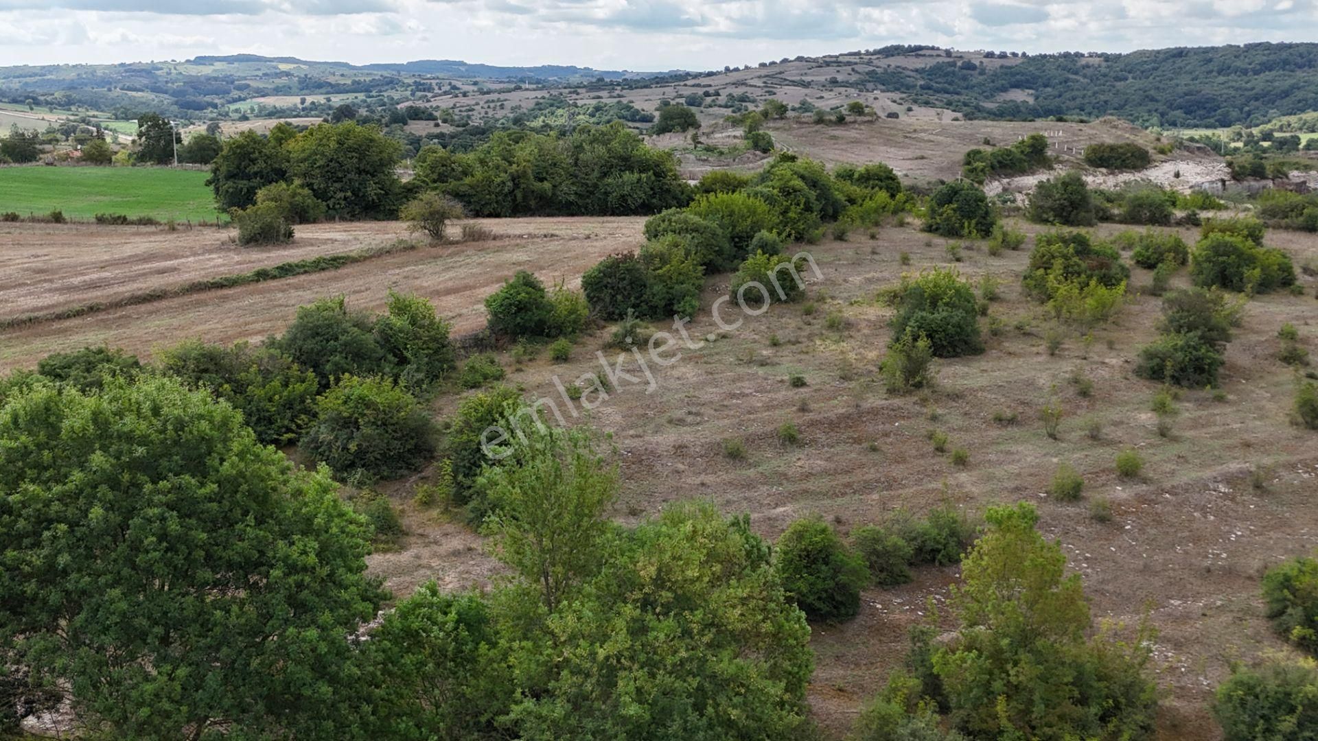 Kandıra Alaybey Satılık Tarla KANDIRA DURAÇALİ DE 2477 m2 KÖYE YAKIN SATILIK TARLA