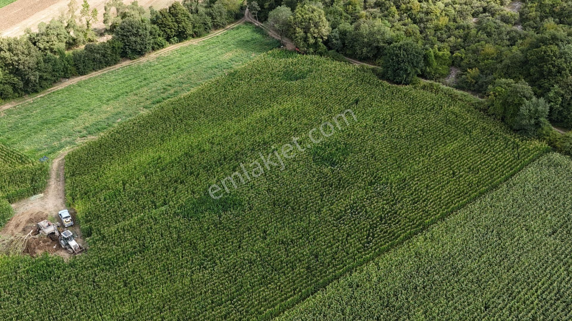 Kandıra Duraçali 975 M2 Toplulaştırması Olan Tarla - Görsel 14