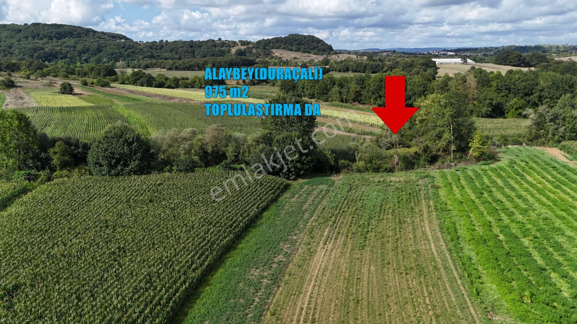 Kandıra Duraçali 975 M2 Topluulaştırmada Satılık Tarla