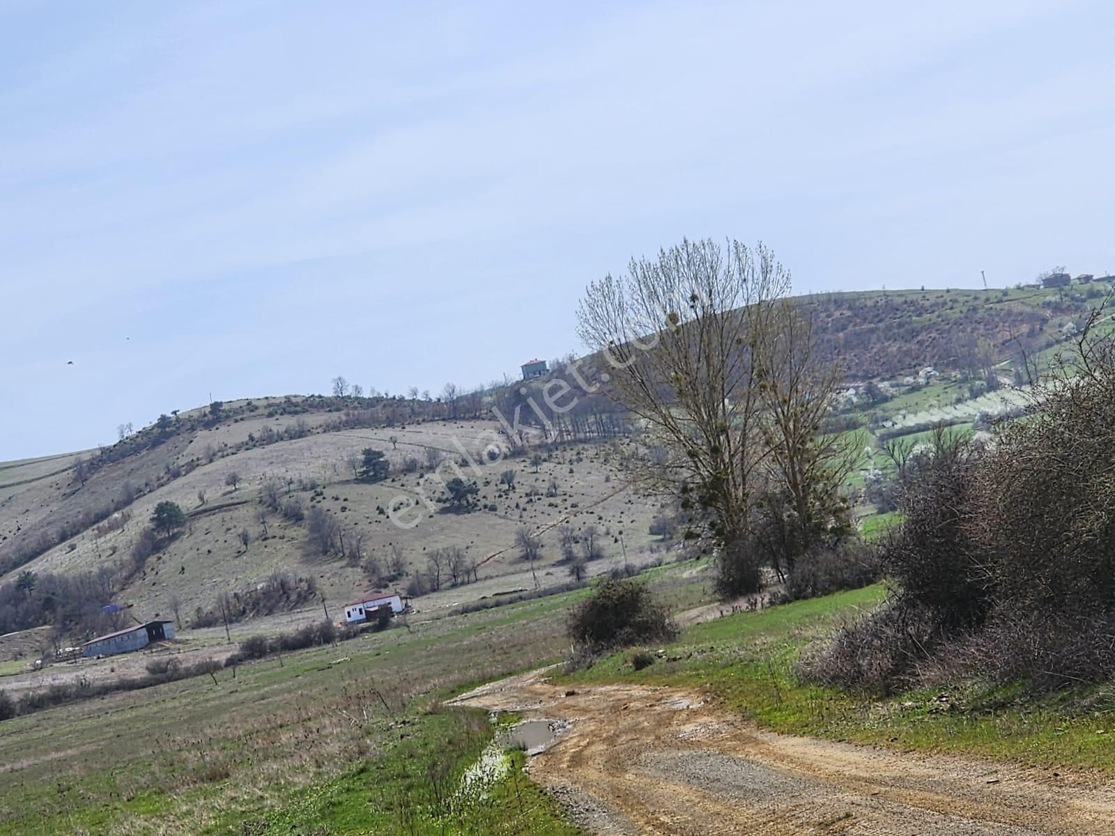 Osmaneli Hisarcık Köyü Satılık Tarla  HİSARCIK 4320 M2 SATILIK TARLA