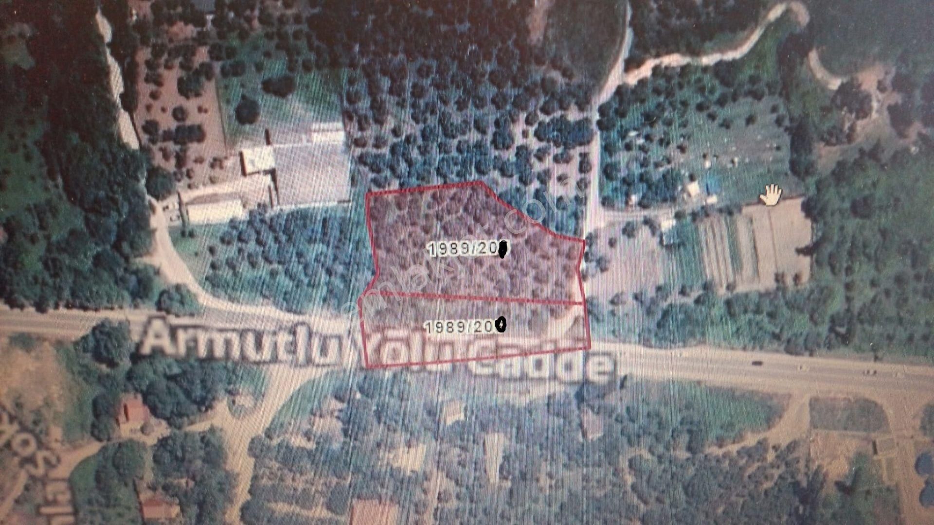 Büyük Kumlada Satılık Zeytinlik 4580m2. Asfalta Cephe Elk.su Var - Görsel 2