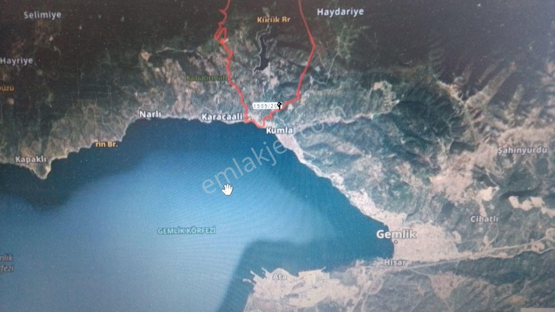 Büyük Kumlada Satılık Zeytinlik 4580m2. Asfalta Cephe Elk.su Var - Görsel 5