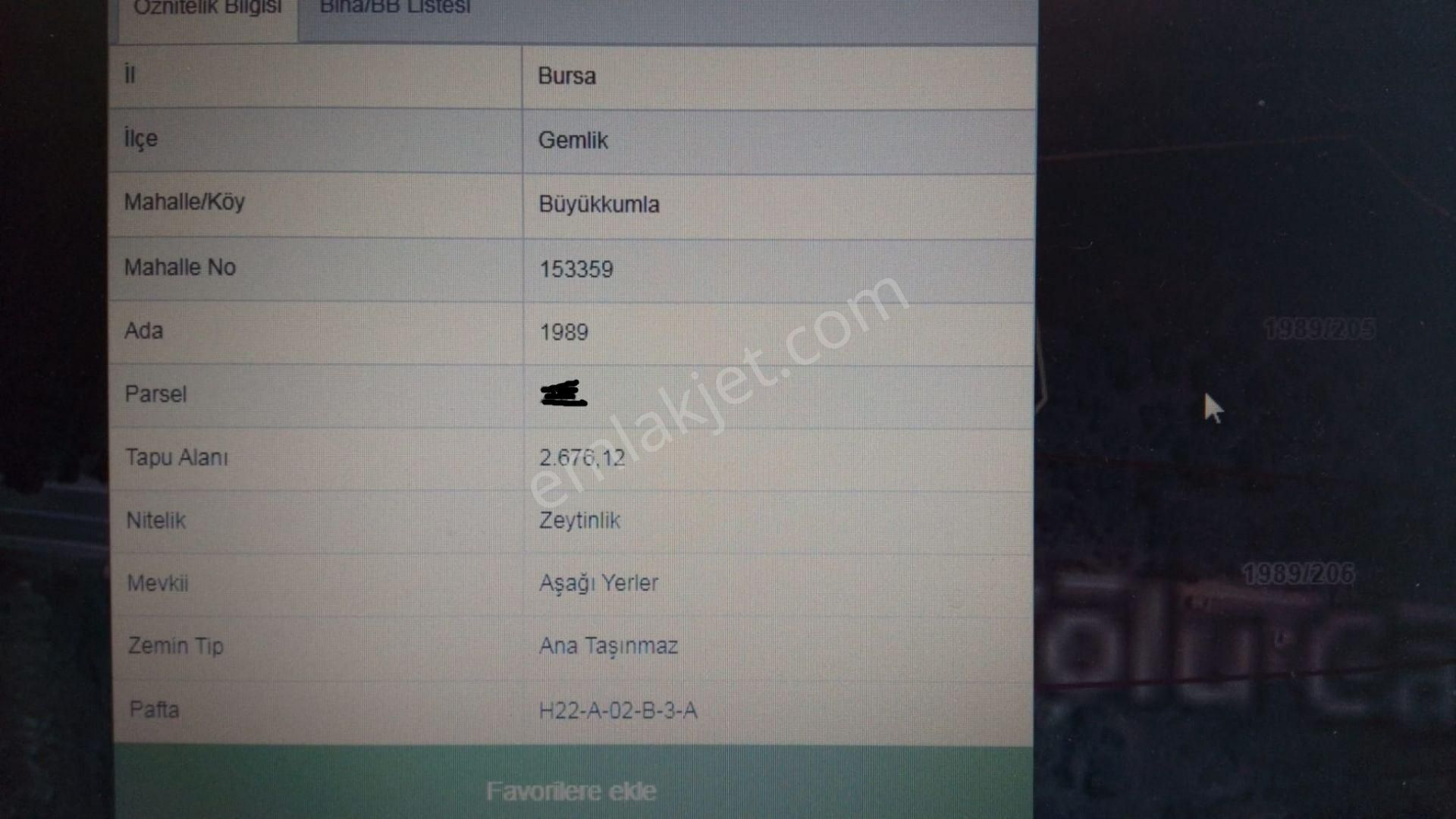Büyük Kumlada Satılık Zeytinlik 4580m2. Asfalta Cephe Elk.su Var - Görsel 6