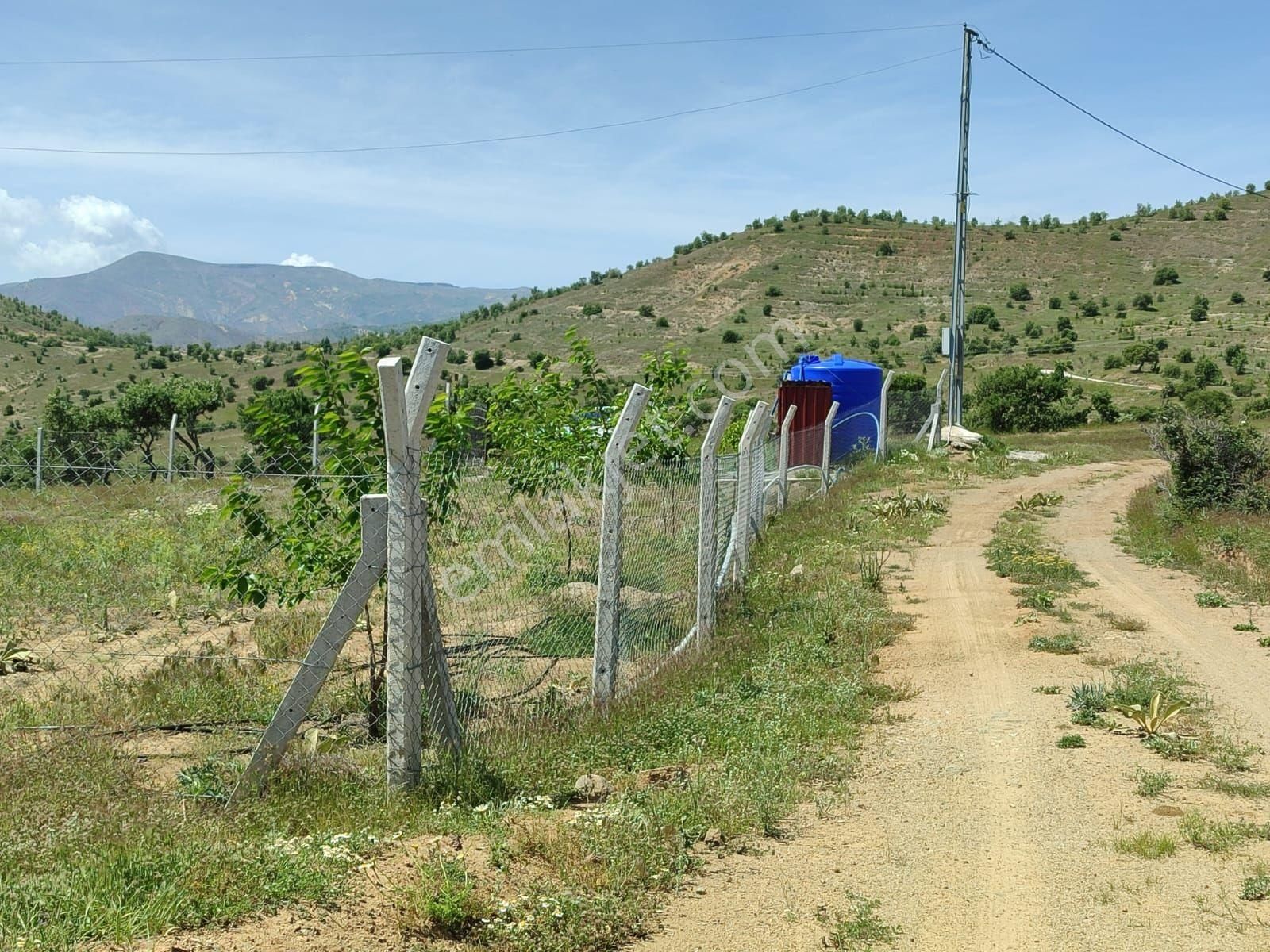 Keban Altıyaka Köyü (Cabbar) Satılık Bağ & Bahçe  KEBAN YOLU ALTIYAKA KÖYÜNDE RESMİ YOL, ELEKTRİK, ARTEZYEN SATILIK 7 DÖNÜM HAZIR BAHÇE YERİ