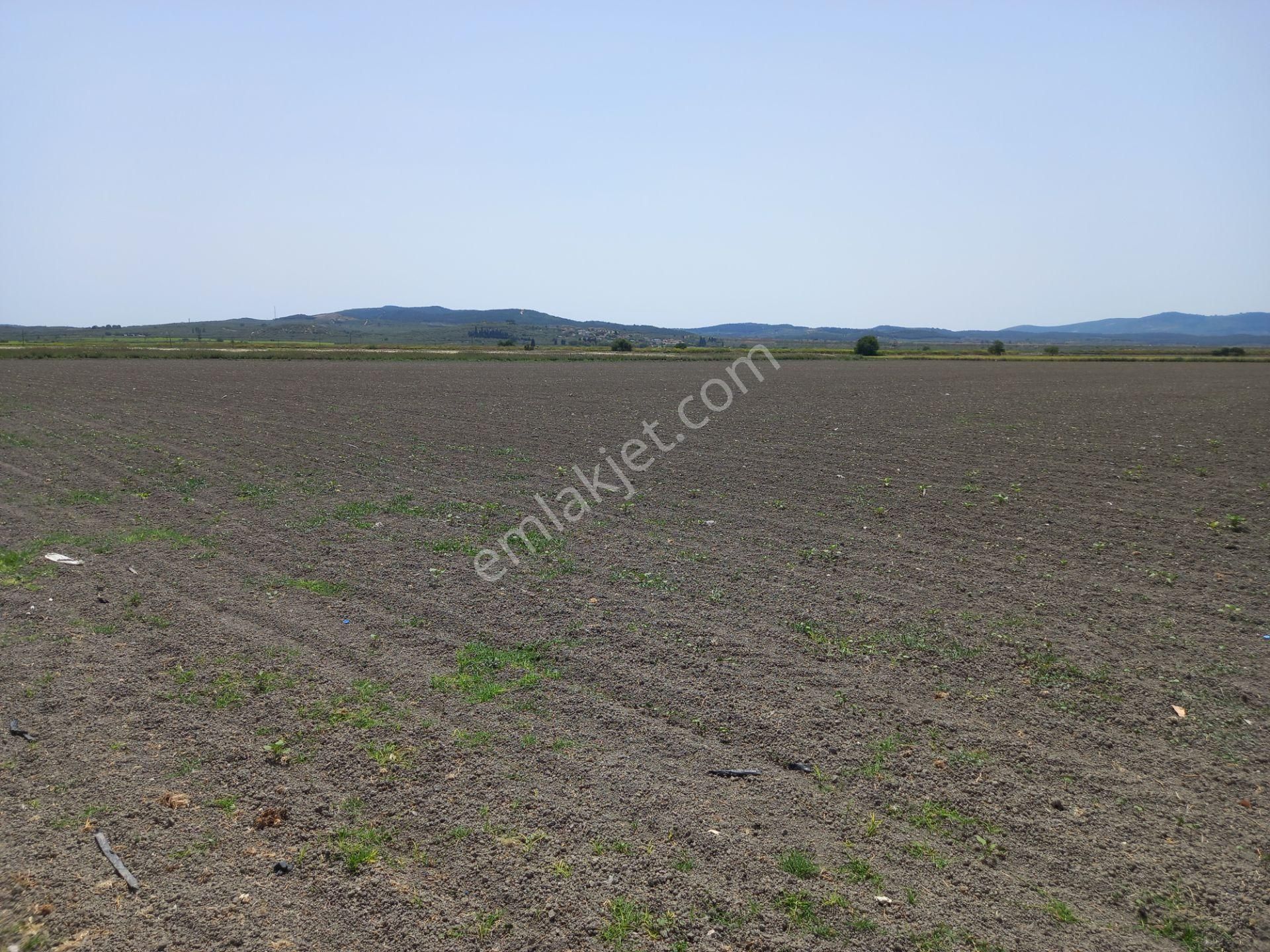 Akhisar Mecidiye Satılık Tarla Manisa Akhisar Mecidiye De Satılık Meranın Dibi 21.000 M2 Boş Tarla