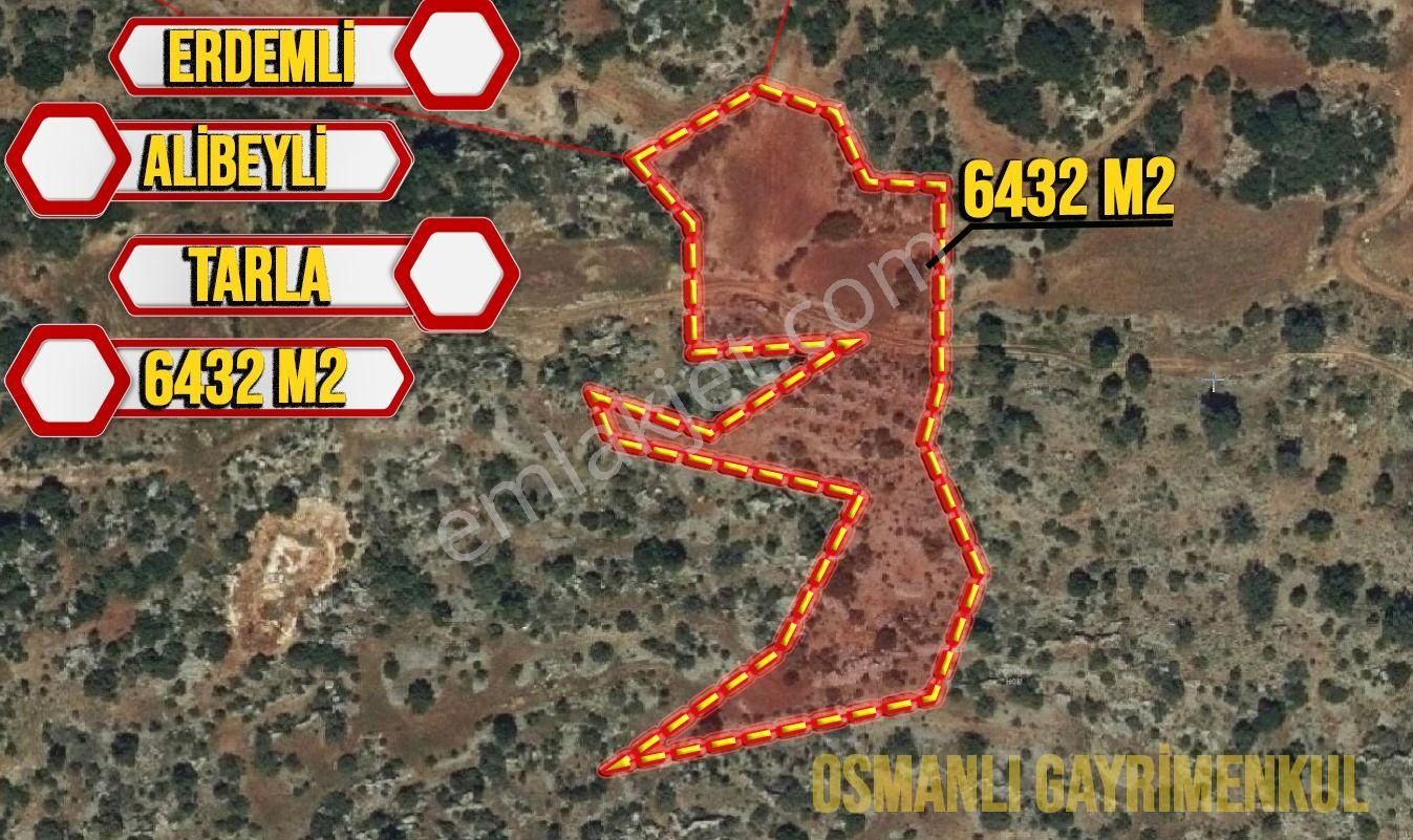 Erdemli Alibeyli Satılık Tarla Erdemli Alibeyli Mahallesi 6432 M2 Satılık Parsel