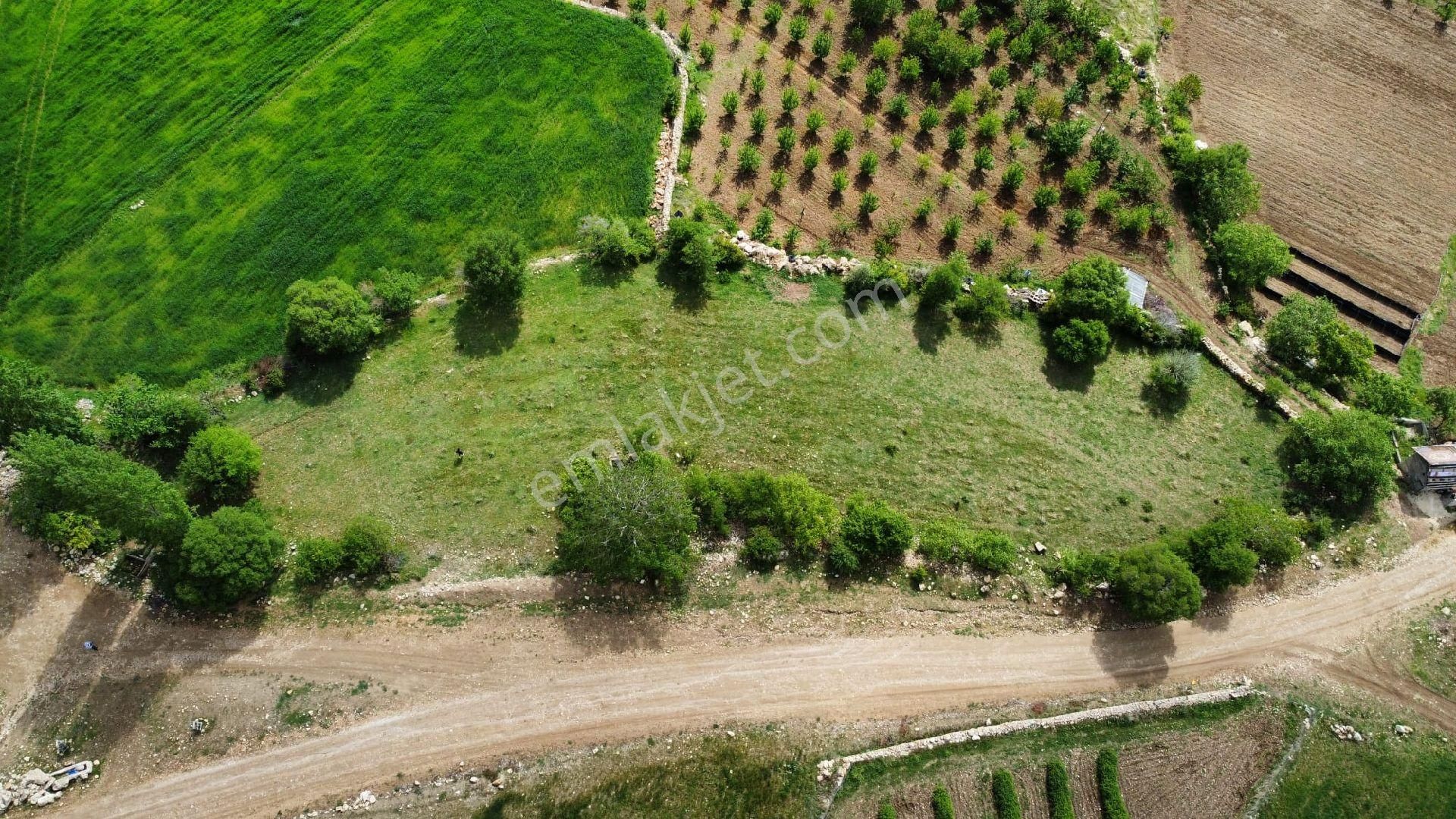 Gelendost Yeşilköy Köyü Satılık Bağ & Bahçe SATILIK PANORAMİK EĞİRDİR GÖL MANZARALI BAHÇE