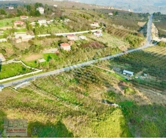 Kocaali Kozluk Satılık Konut İmarlı KOCAALİ Kozluk mahallesi imarlı arsa 1664 m2