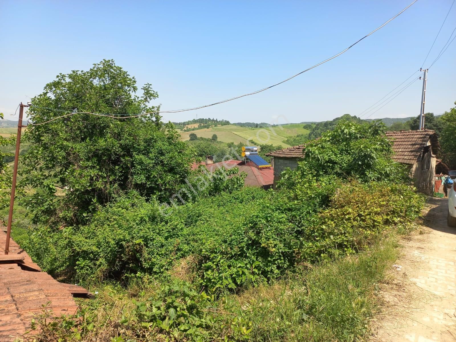 Çiftlikköy Dereköy Köyü Satılık Konut İmarlı  Yalova Çiftlikköy Dereköy de Köyiçi İmarlı Arsa