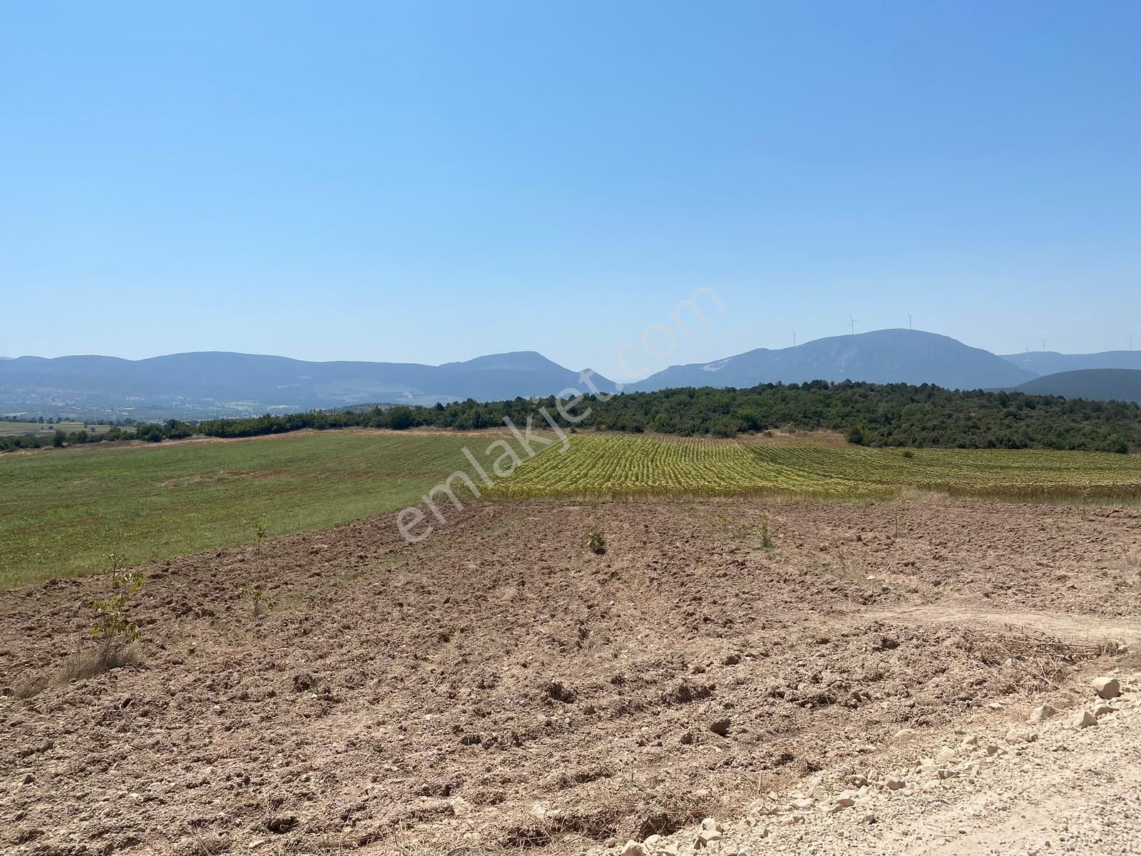 Osmaneli Medetli Köyü Satılık Tarla  ÜYÜK KÖY MERKEZİNE 1 KM MESAFEDE 5.360 M2 YATIRIMLIK TARLA