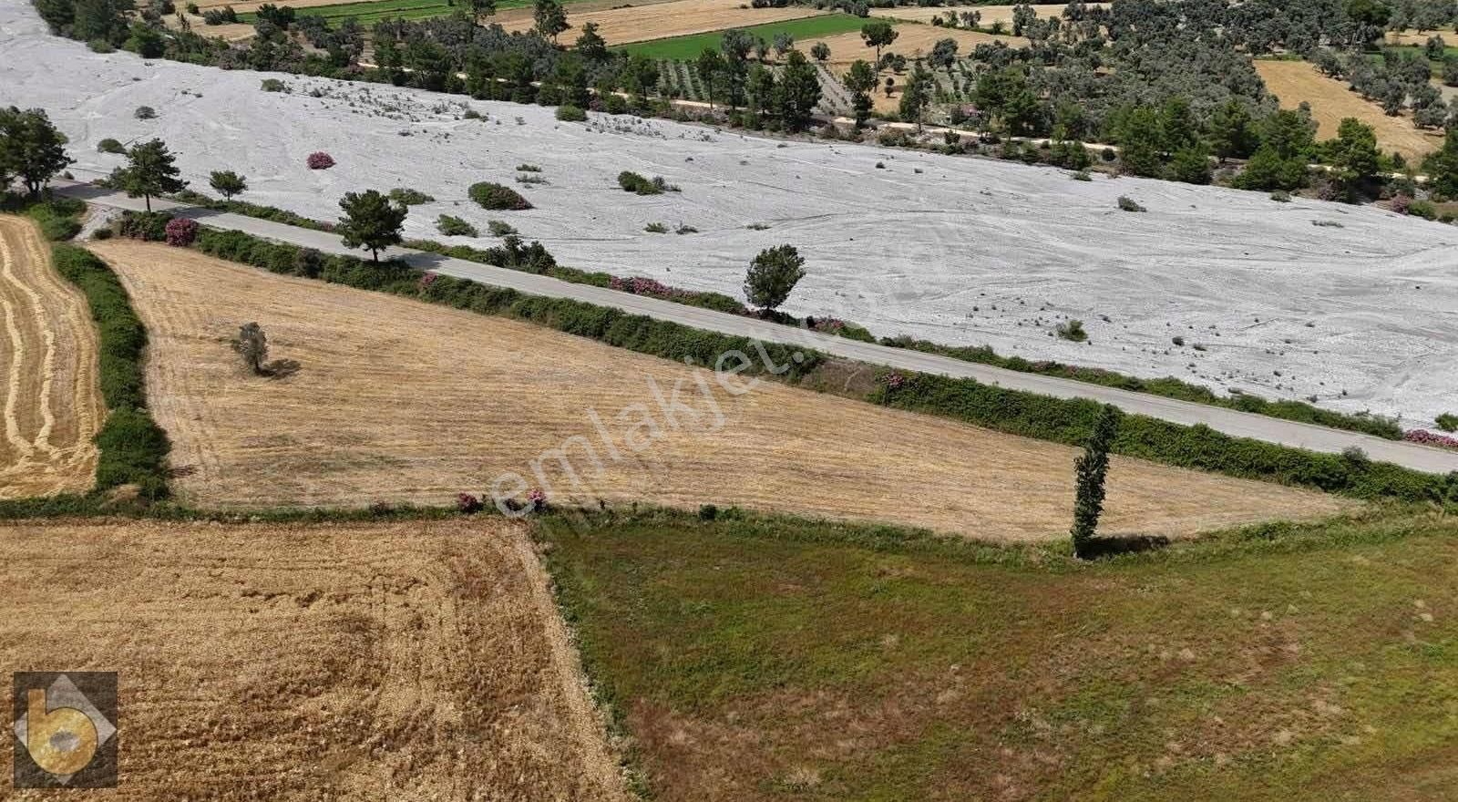 Seydikemer Ortaköy'de Satılık 8618m2 Harika Konumda Tarla - Görsel 7
