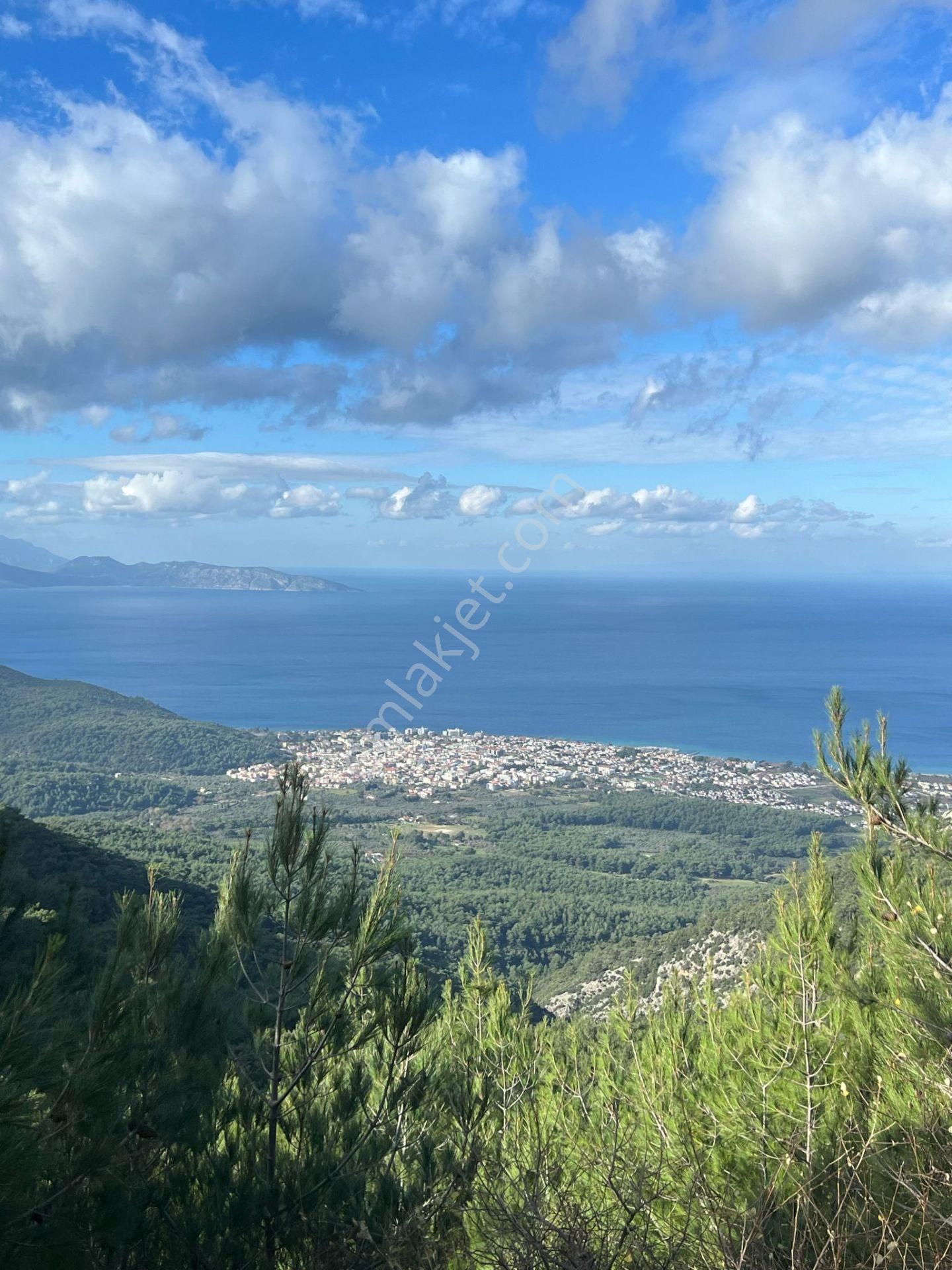 Aydın Kuşadası Güzelçamlı’da Uygun Fiyatlı 3+1 Villa - Görsel 45