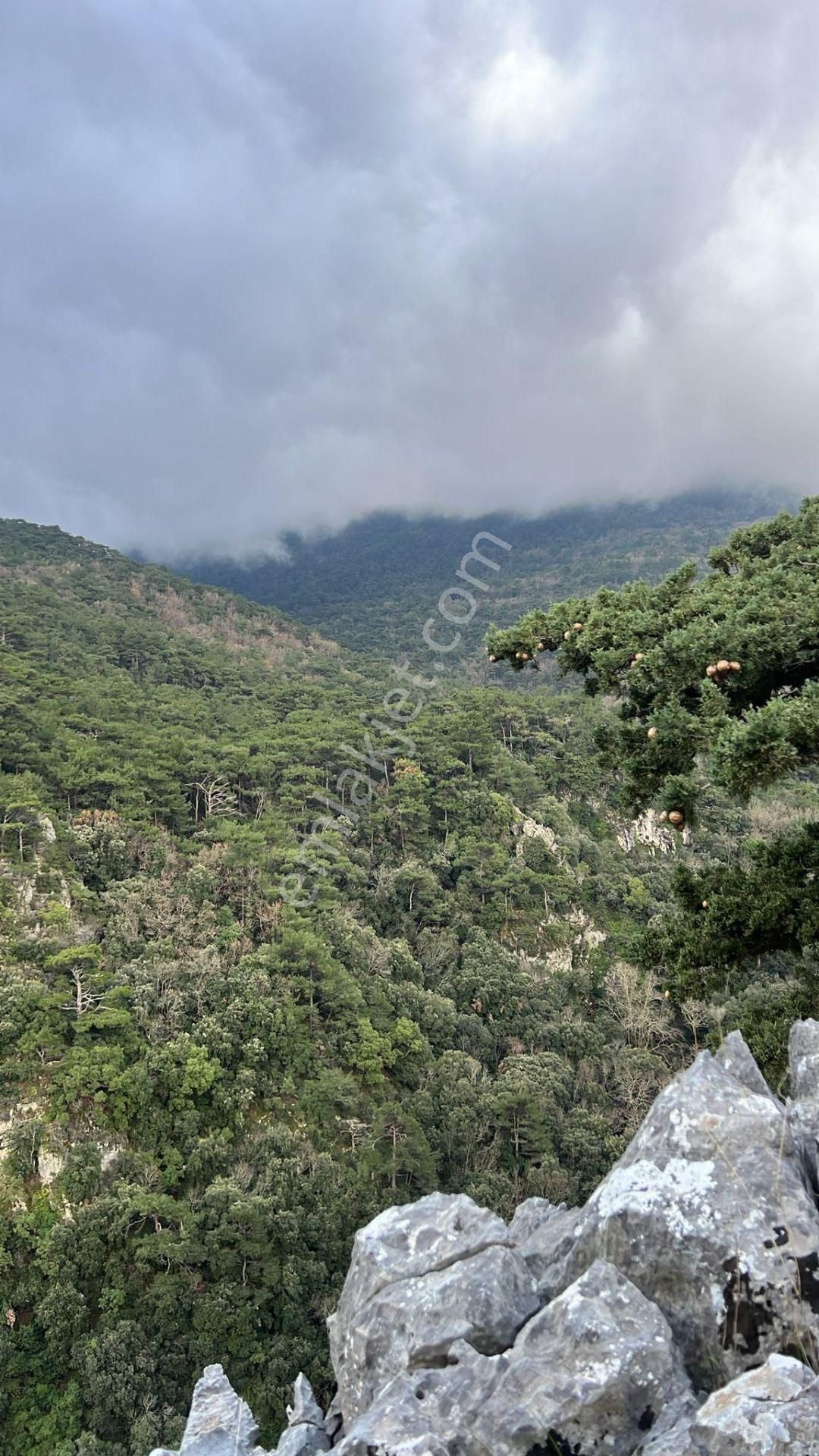 Aydın Kuşadası Güzelçamlı’da Uygun Fiyatlı 3+1 Villa - Görsel 44