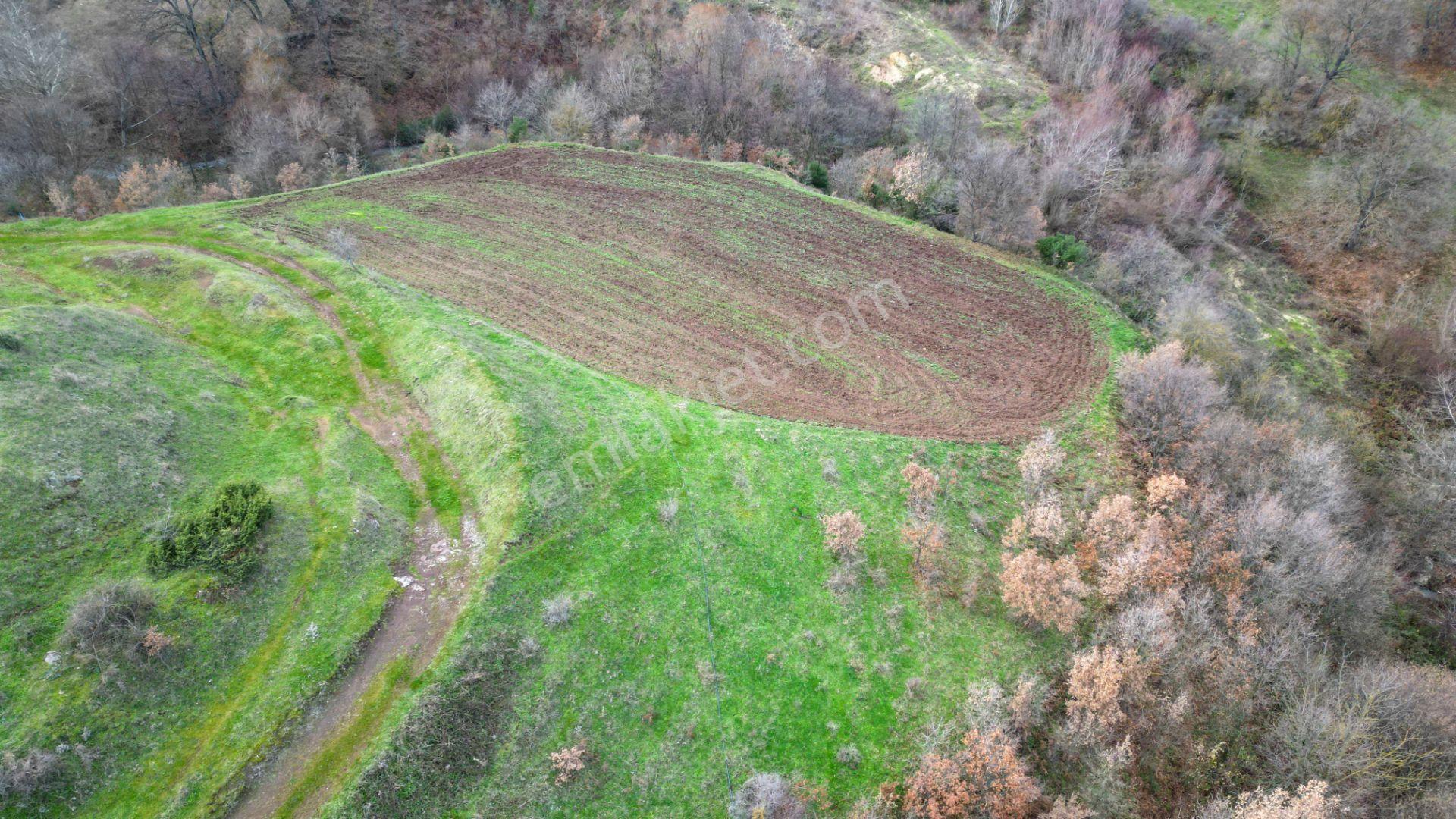 Kocaeli Karamürsel Kızderbent Mahallesi Satılık 3806 M2 Tarla - Görsel 6