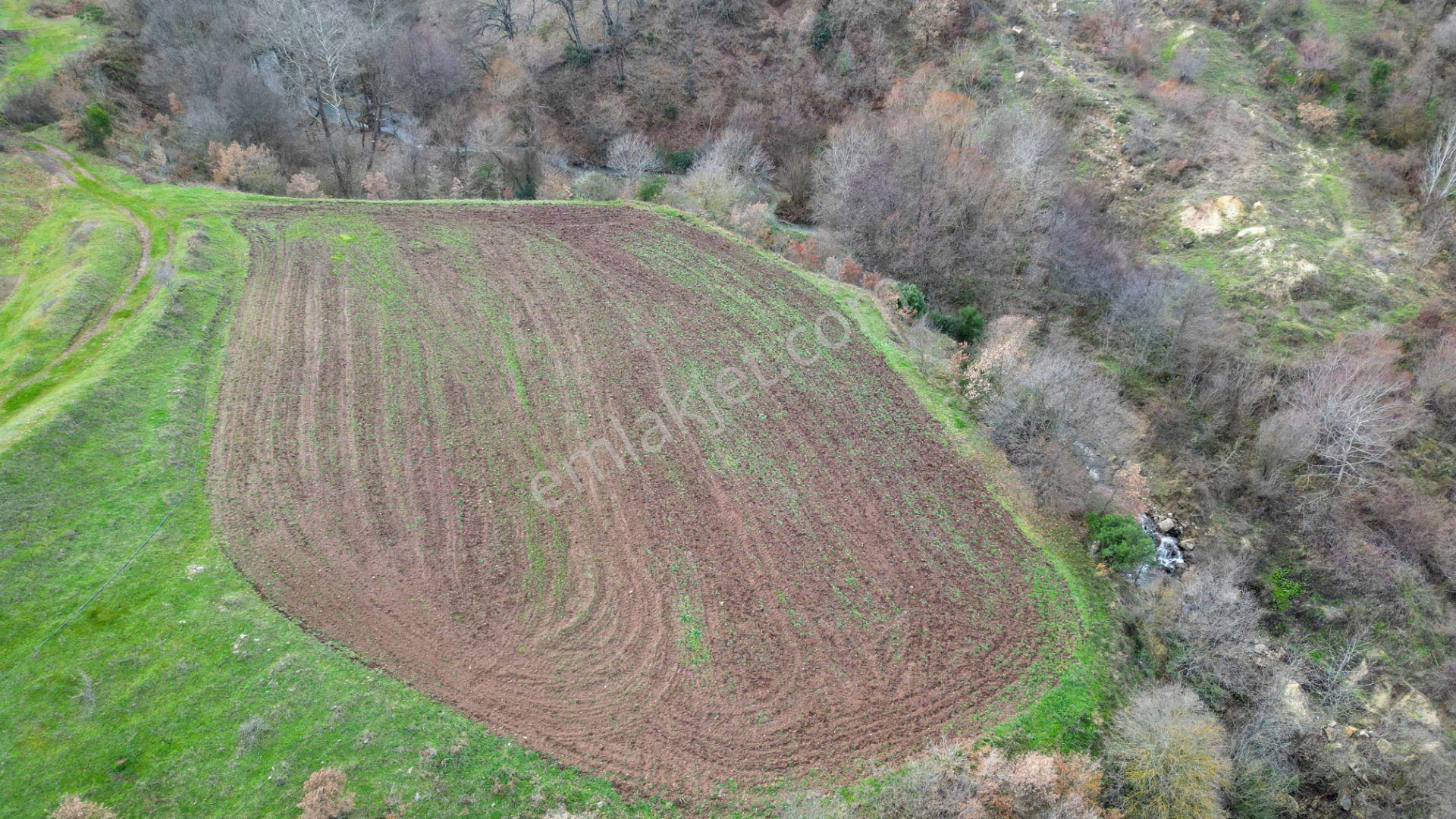 Kocaeli Karamürsel Kızderbent Mahallesi Satılık 3806 M2 Tarla - Görsel 7