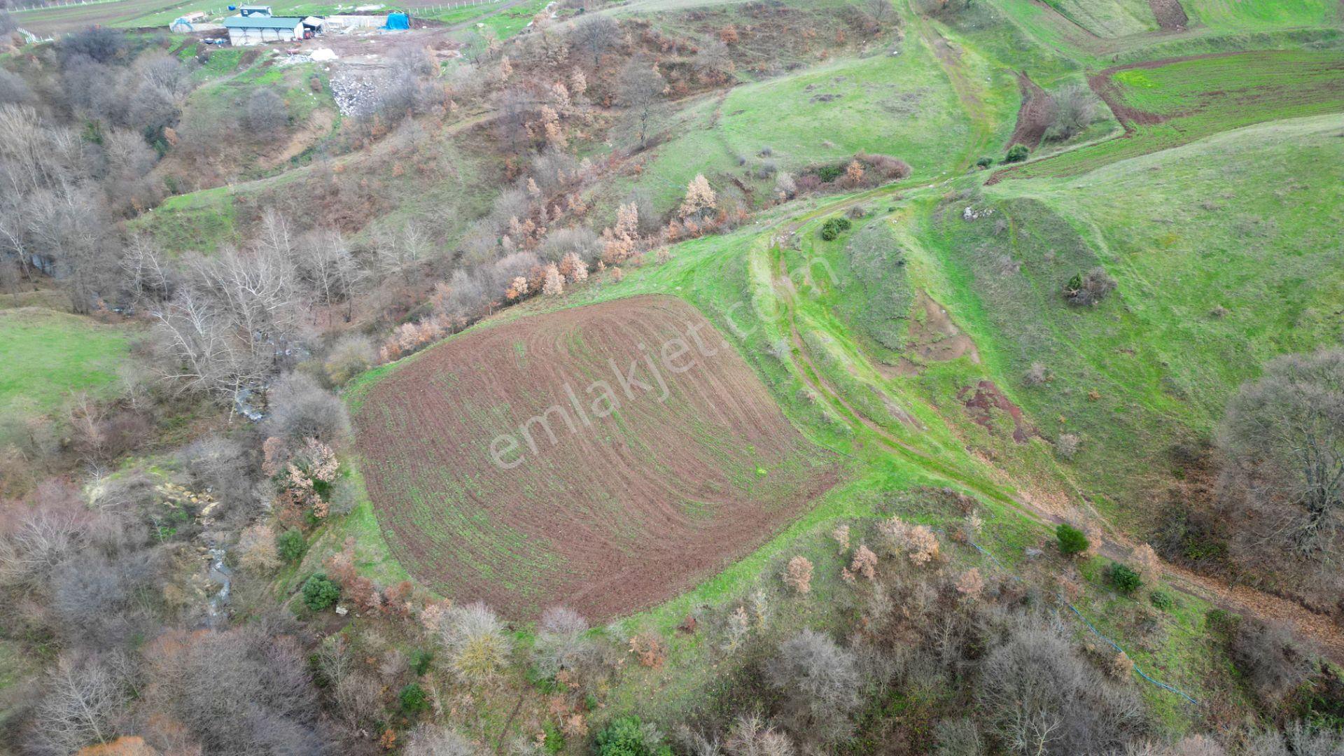 Kocaeli Karamürsel Kızderbent Mahallesi Satılık 3806 M2 Tarla - Görsel 9