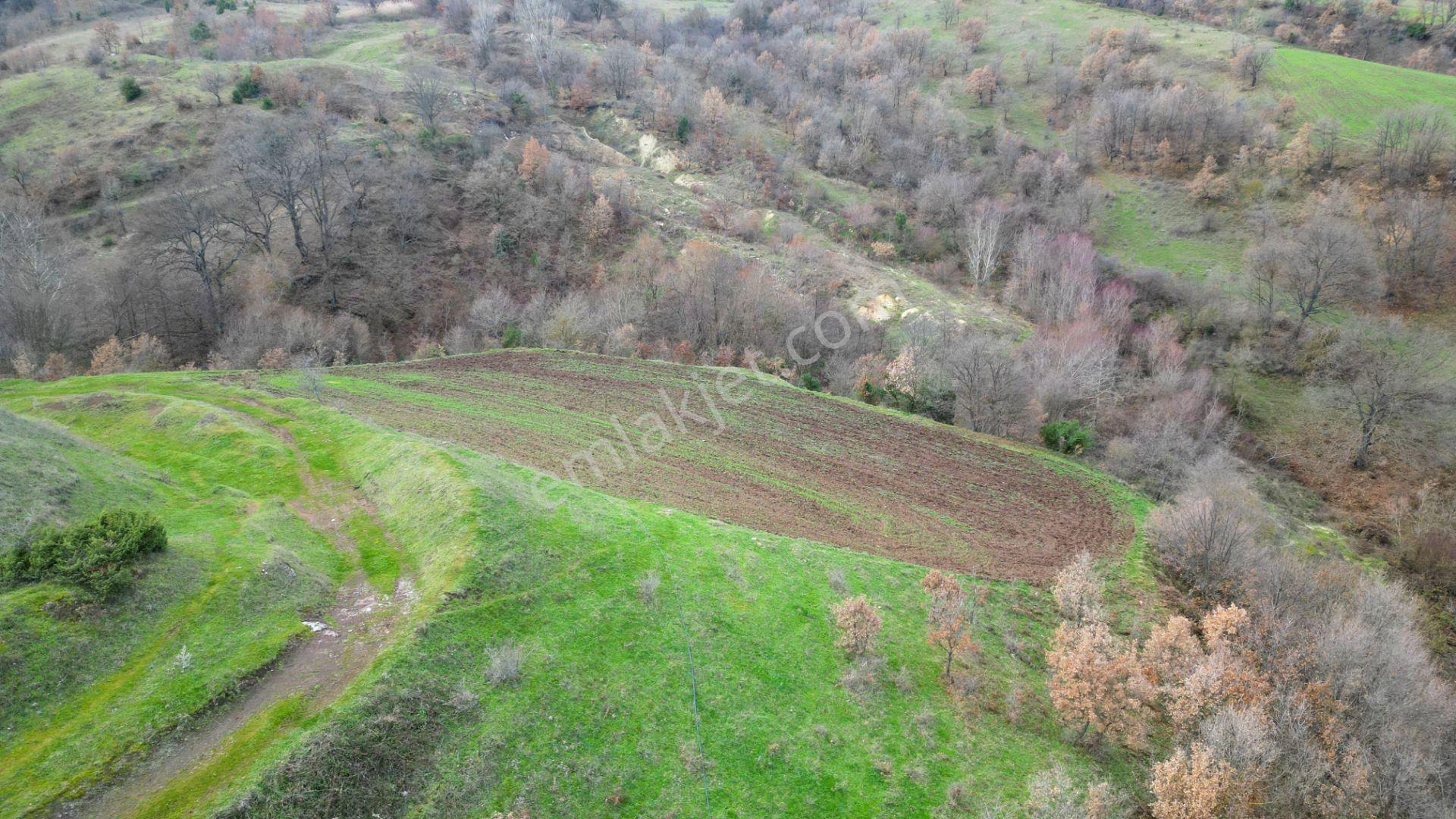 Kocaeli Karamürsel Kızderbent Mahallesi Satılık 3806 M2 Tarla - Görsel 5
