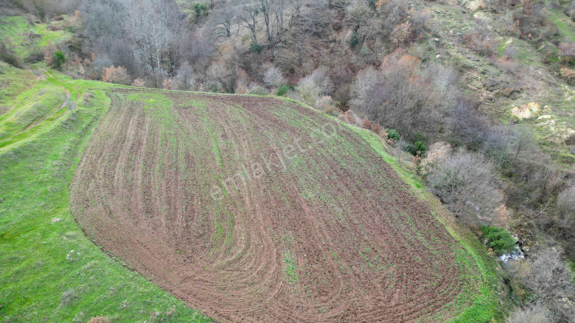 Kocaeli Karamürsel Kızderbent Mahallesi Satılık 3806 M2 Tarla - Görsel 8