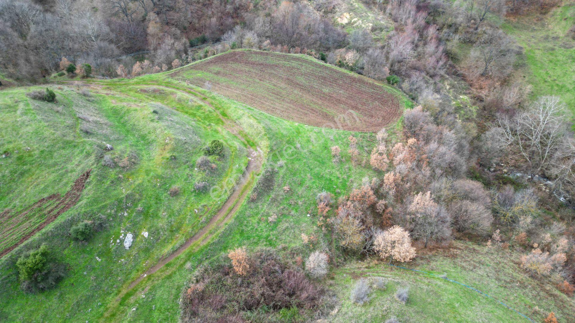 Kocaeli Karamürsel Kızderbent Mahallesi Satılık 3806 M2 Tarla - Görsel 3