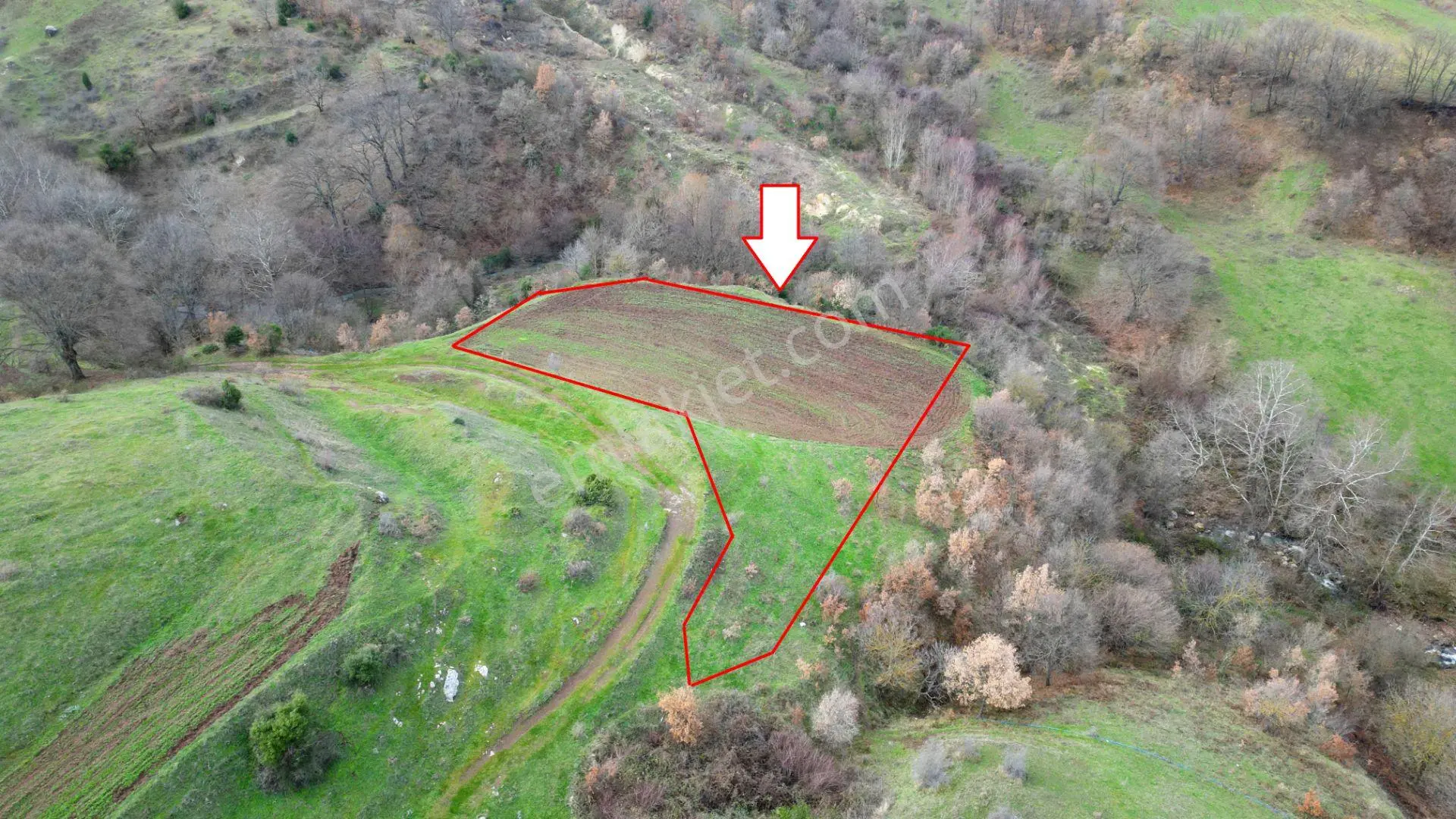 Kocaeli Karamürsel Kızderbent Mahallesi Satılık 3806 M2 Tarla