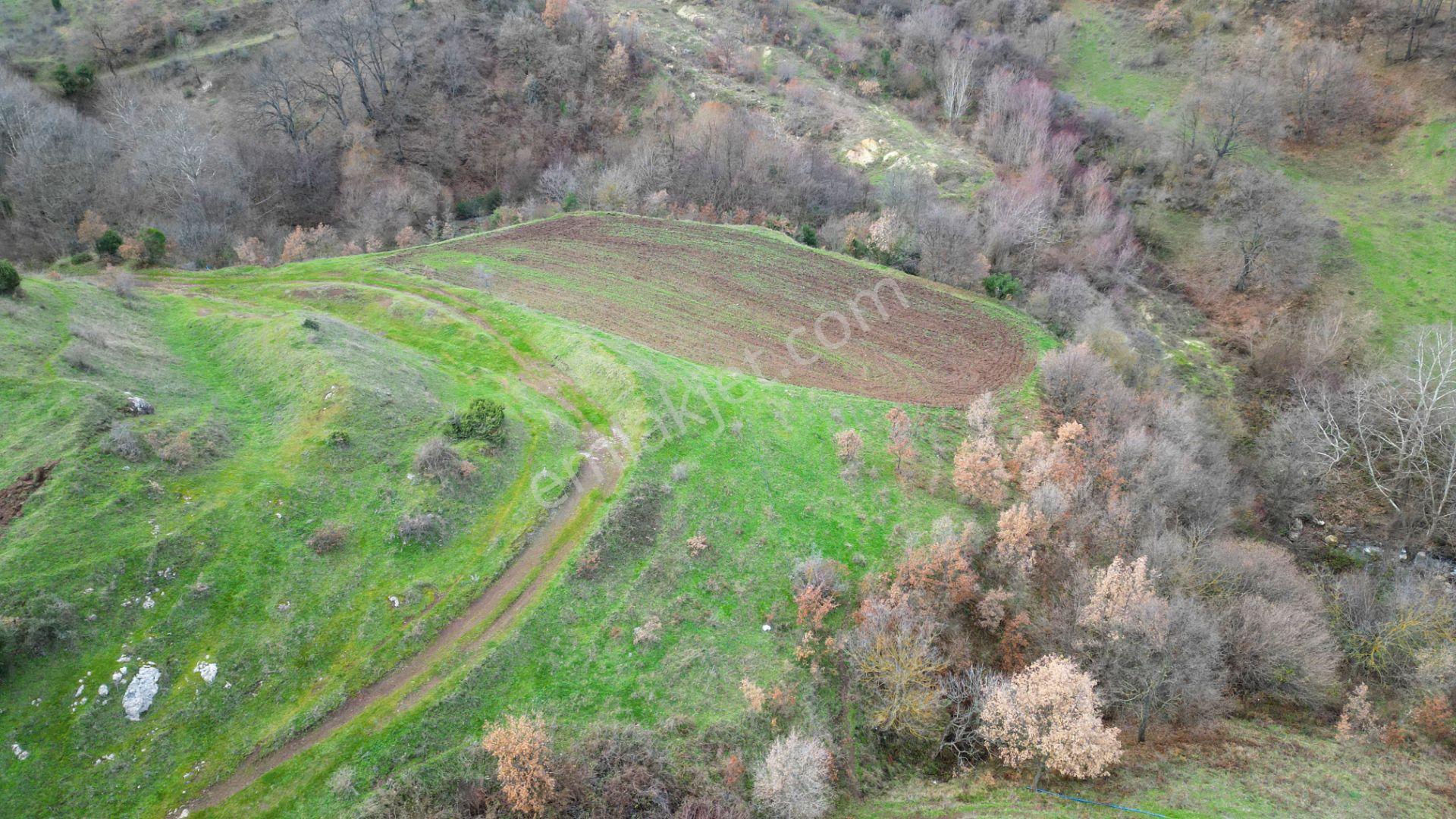 Kocaeli Karamürsel Kızderbent Mahallesi Satılık 3806 M2 Tarla - Görsel 4