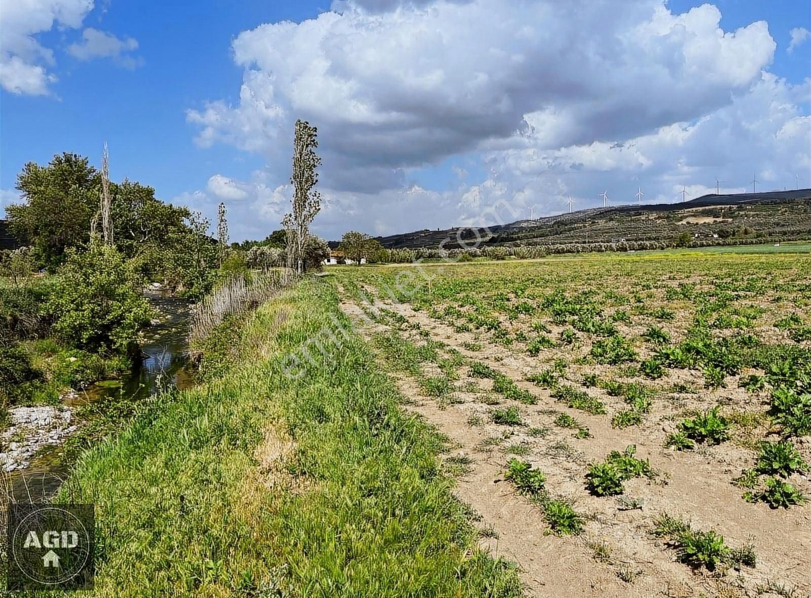 Kırkağaç Kınık Satılık Tarla Kınık ta 18000m2 Eski Evi Yolu Elektrik Su Dibinde Akhisara 30Km