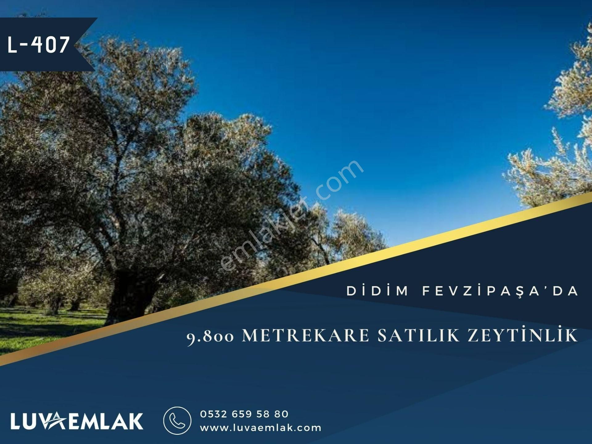 Didim Fevzipaşa Satılık Zeytinlik  DİDİM FEVZİPAŞA'DA SATILIK ZEYTİNİK