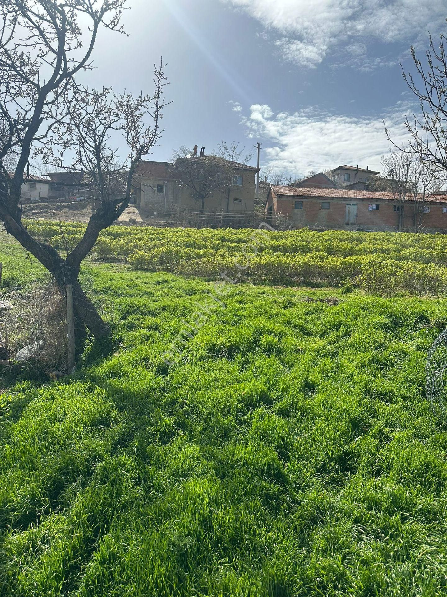 Gönen İğdecik Köyü Satılık Çiftlik Evi Isparta Gönen iğdecik köyünde satılık çiftlik