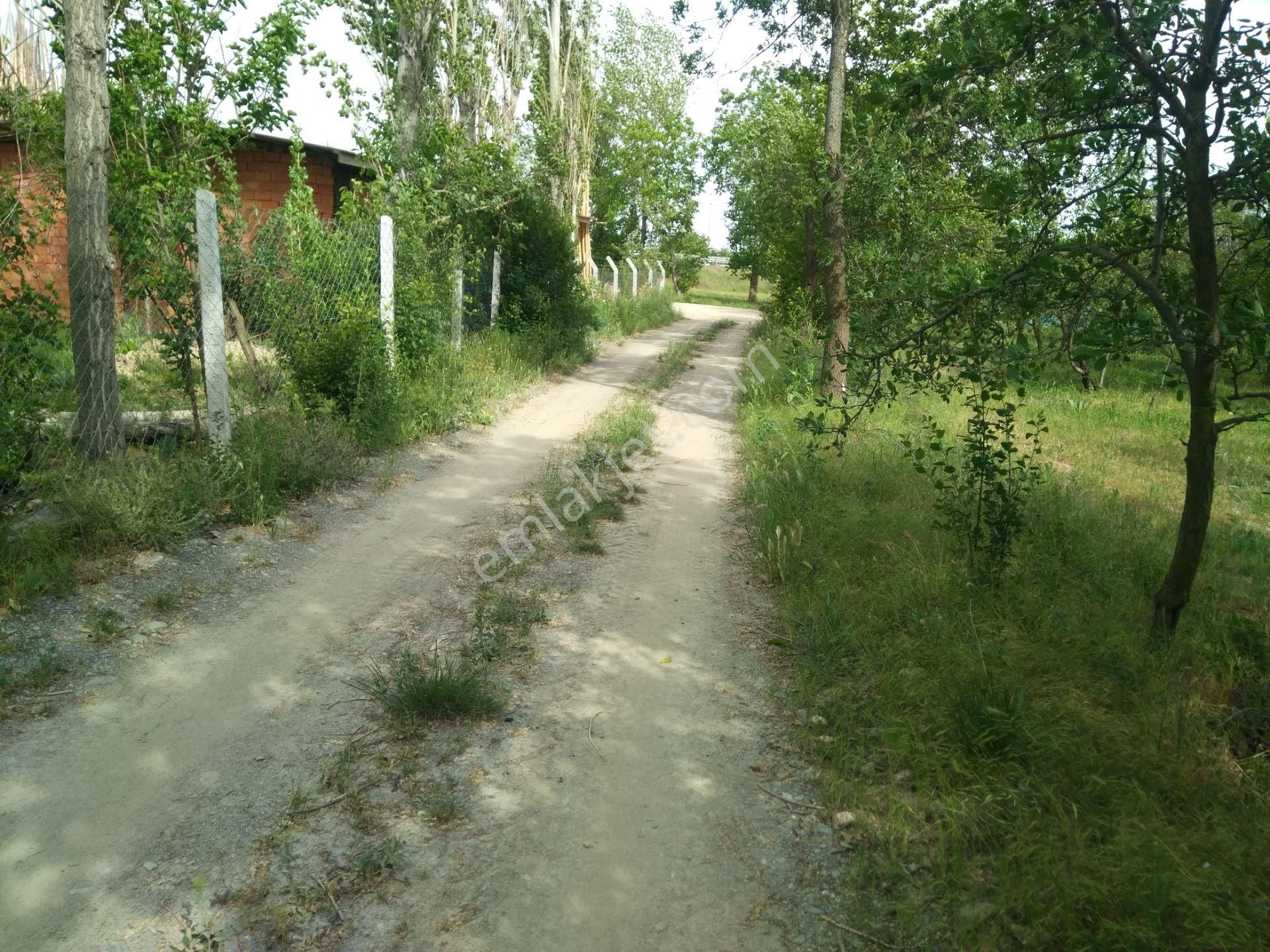 Akşehir Demirhan Emlaktan Satılı Bahçe - Görsel 3