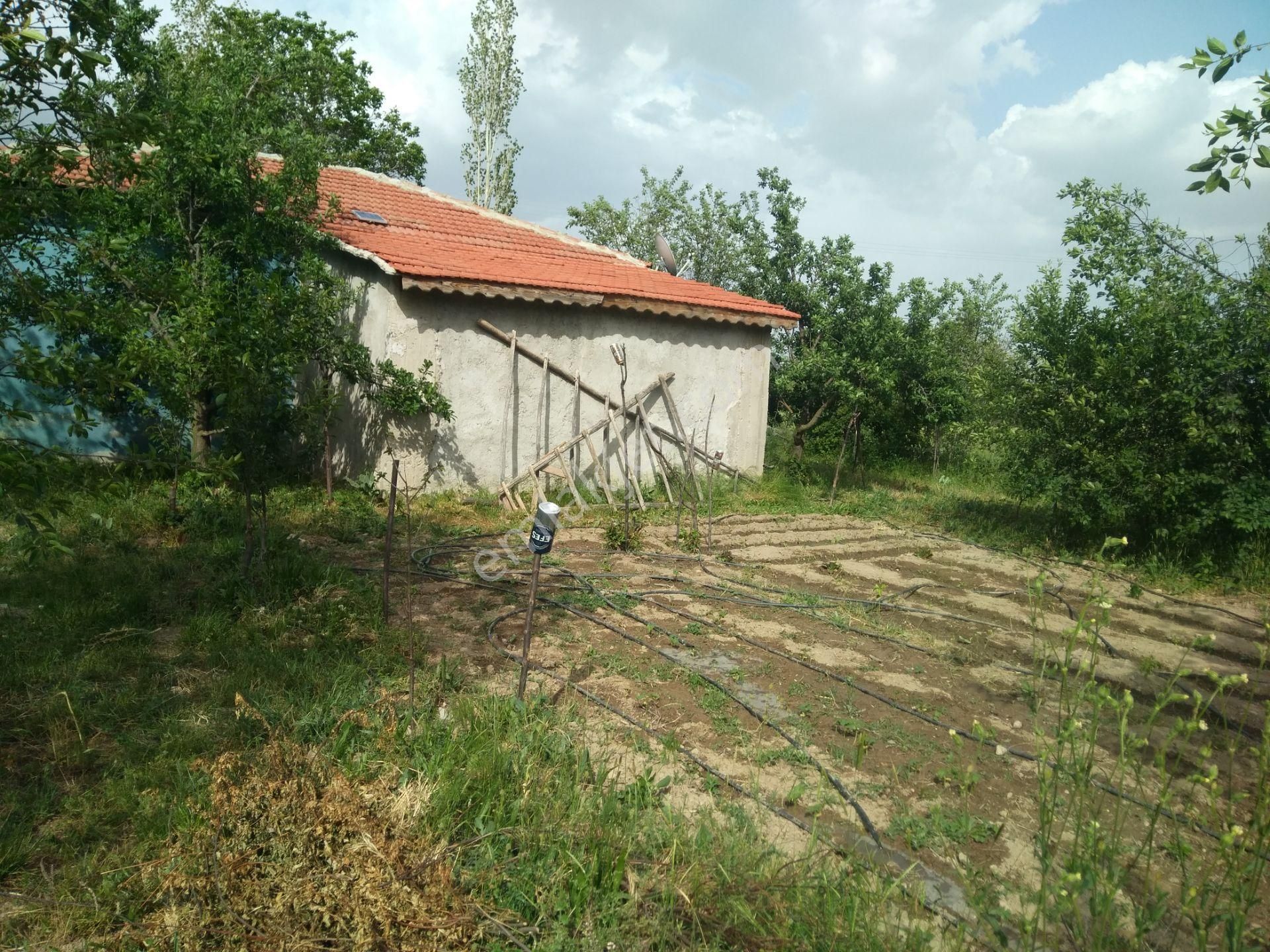 Akşehir Demirhan Emlaktan Satılı Bahçe - Görsel 6