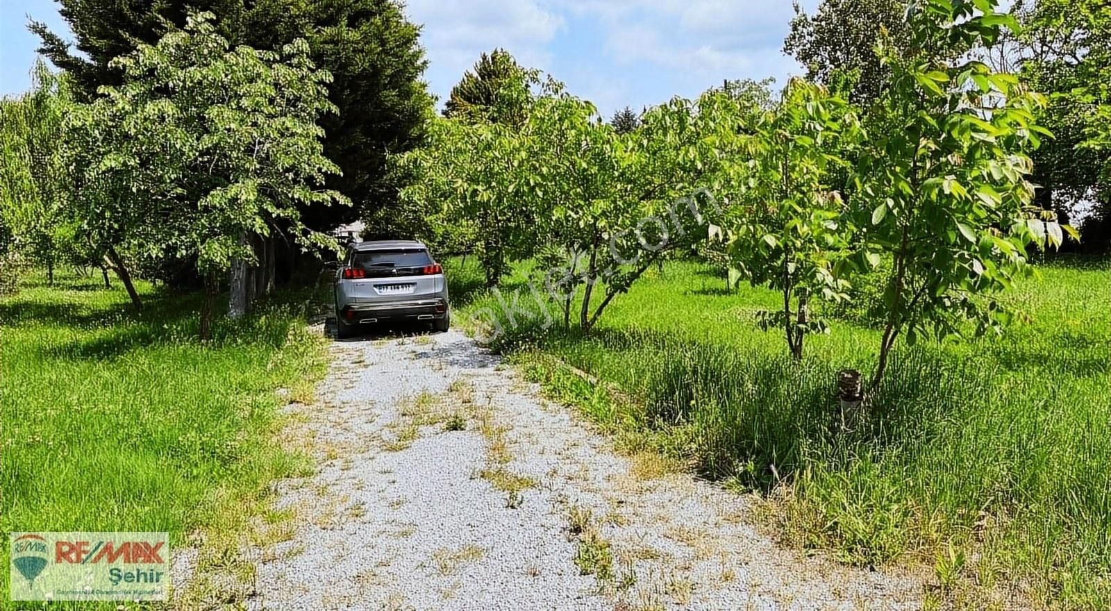 Yalova Merkez Kazımiye Köyü Satılık Bağ & Bahçe YALOVA KAZIMİYE'DE ASFALT YOLA CEPHE ÇİFTLİK